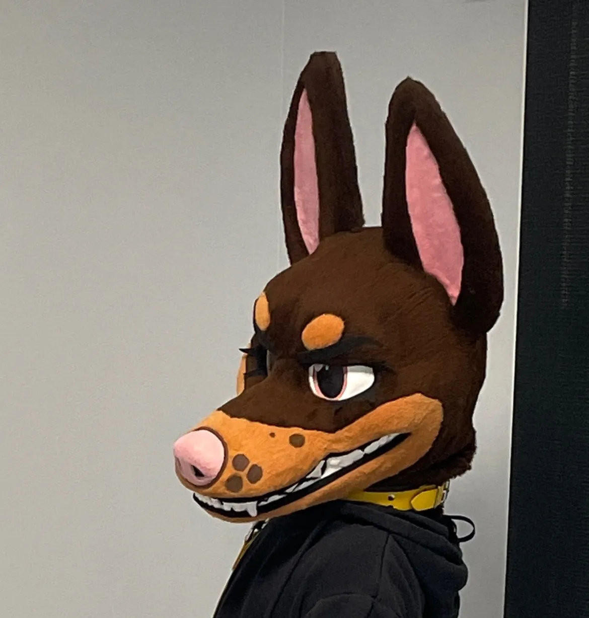 💛 Tobi the Doberman 💛