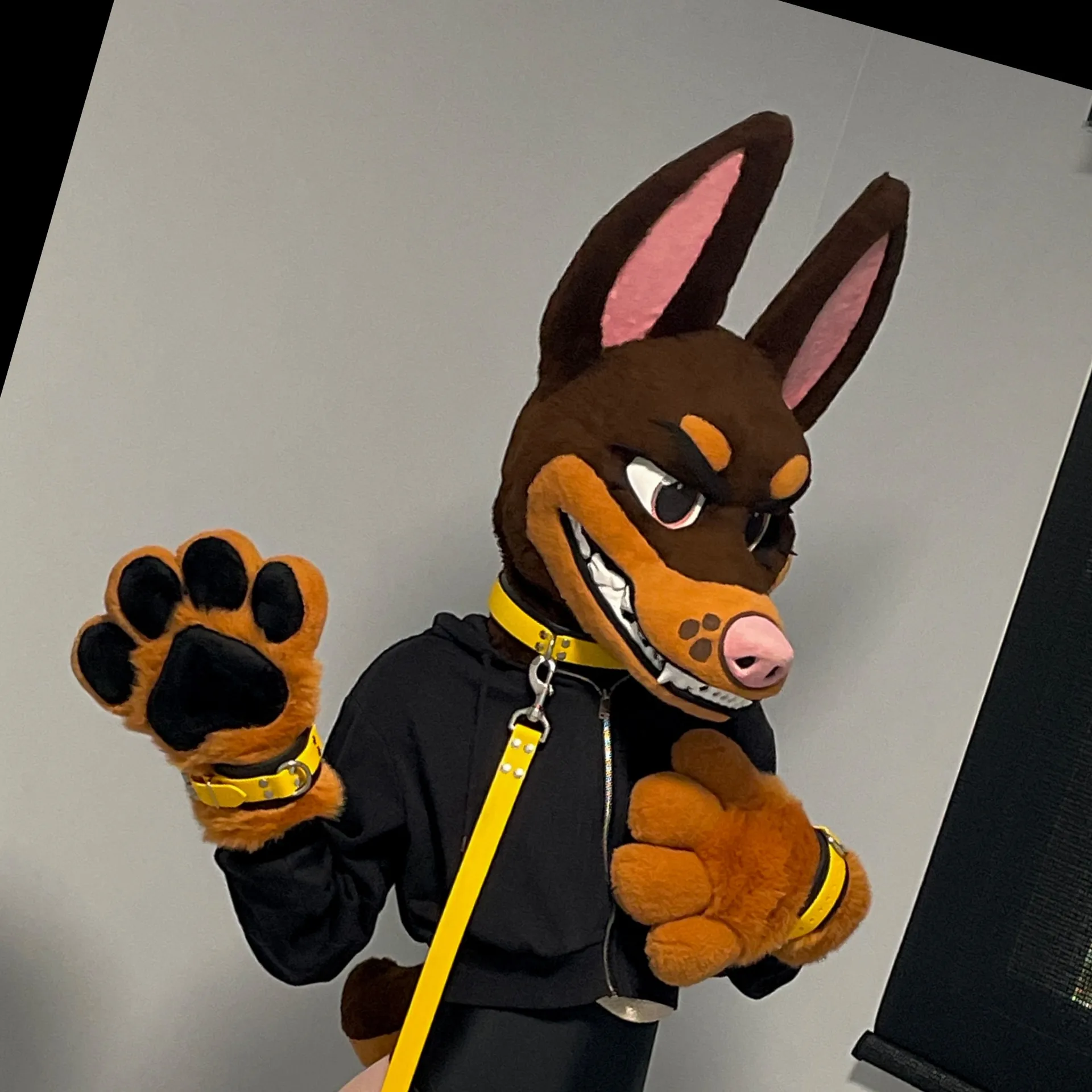 💛 Tobi the Doberman 💛 OnlyFans header