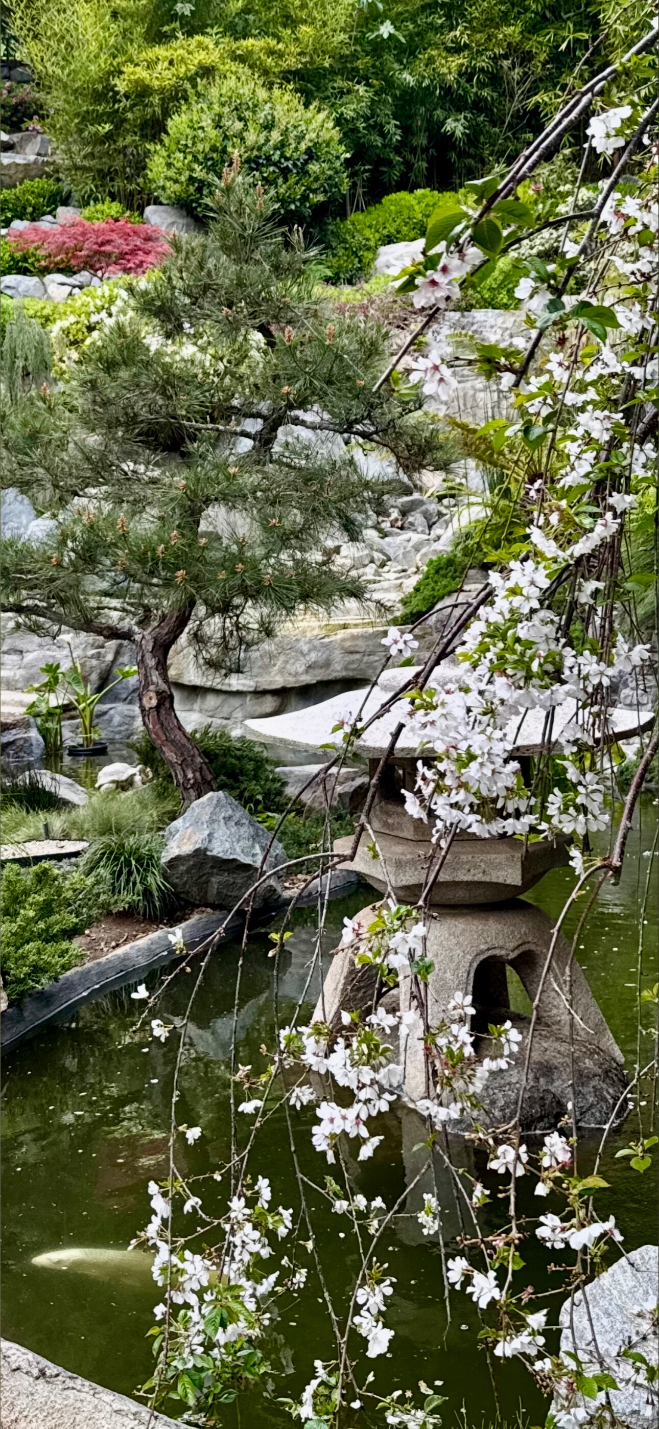 Tommy Lee OnlyFans header