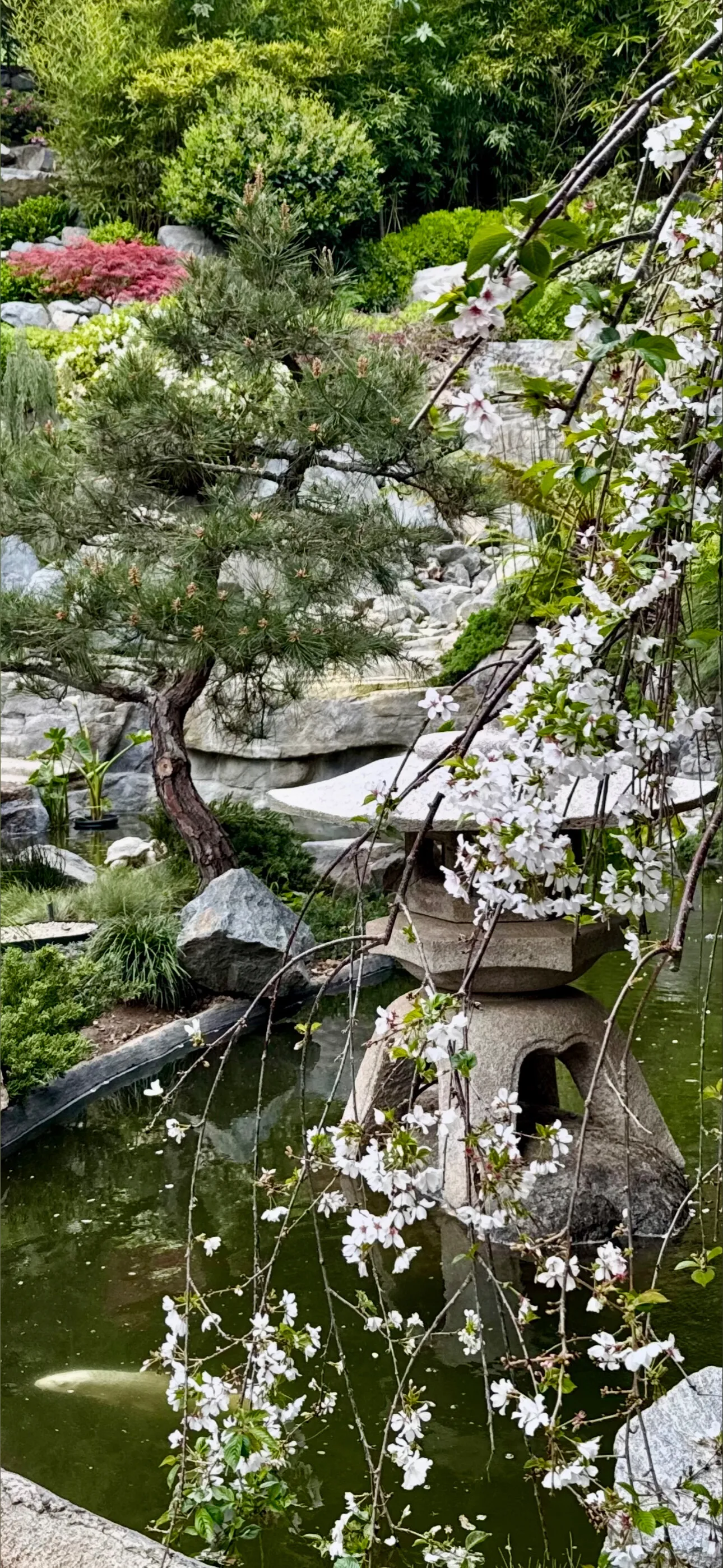 Tommy Lee OnlyFans header