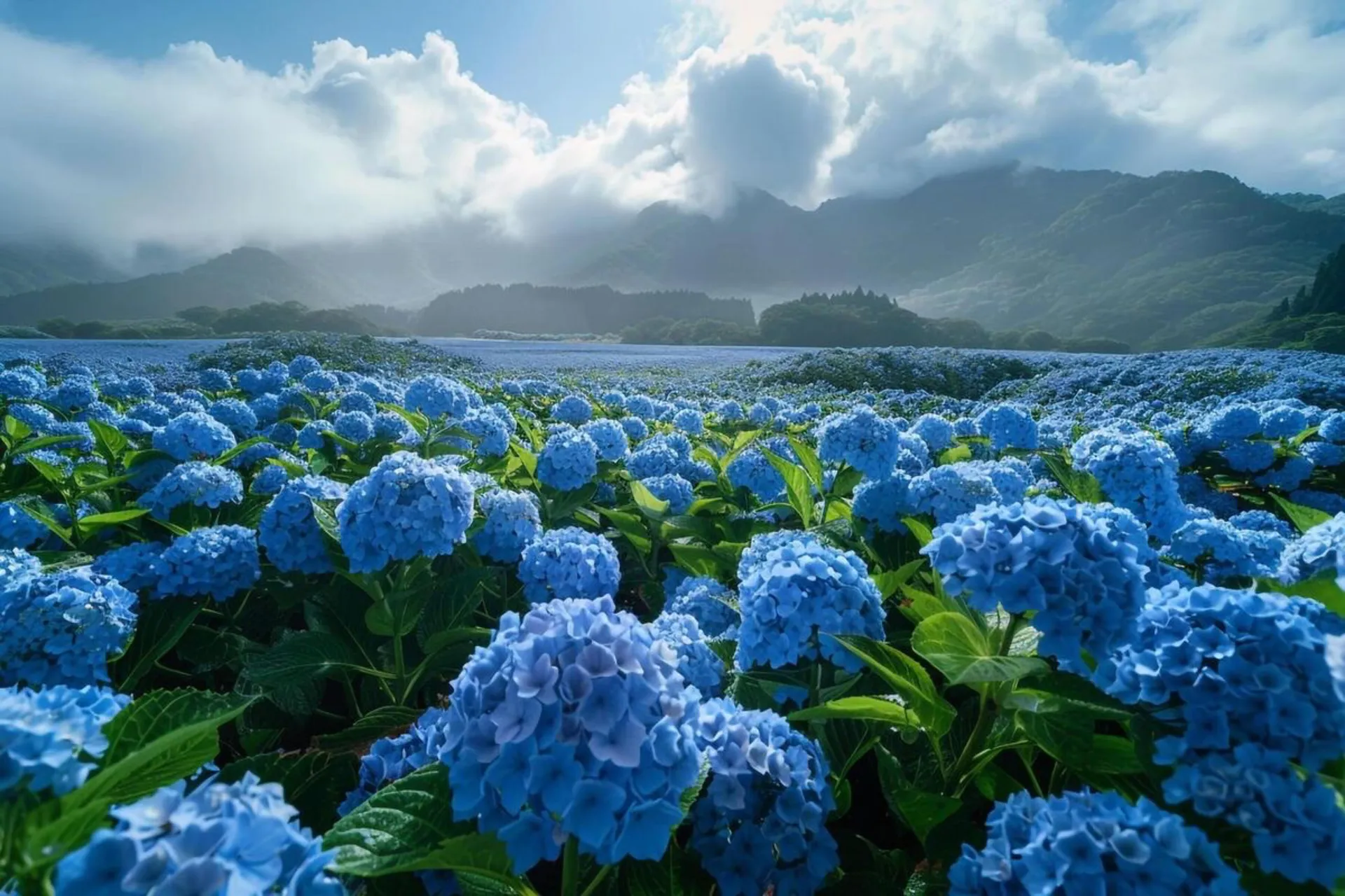 Naomi Anderson OnlyFans header