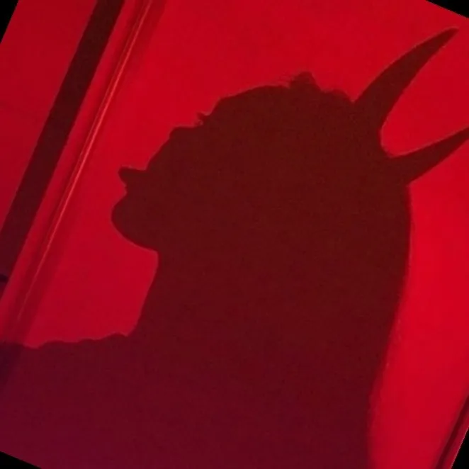 Tu.diablita.xo OnlyFans header