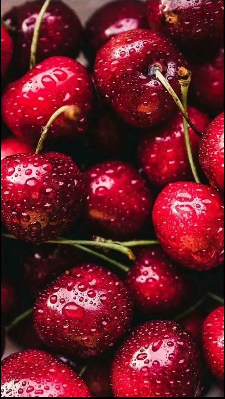 @Tusensualmorocha OnlyFans header