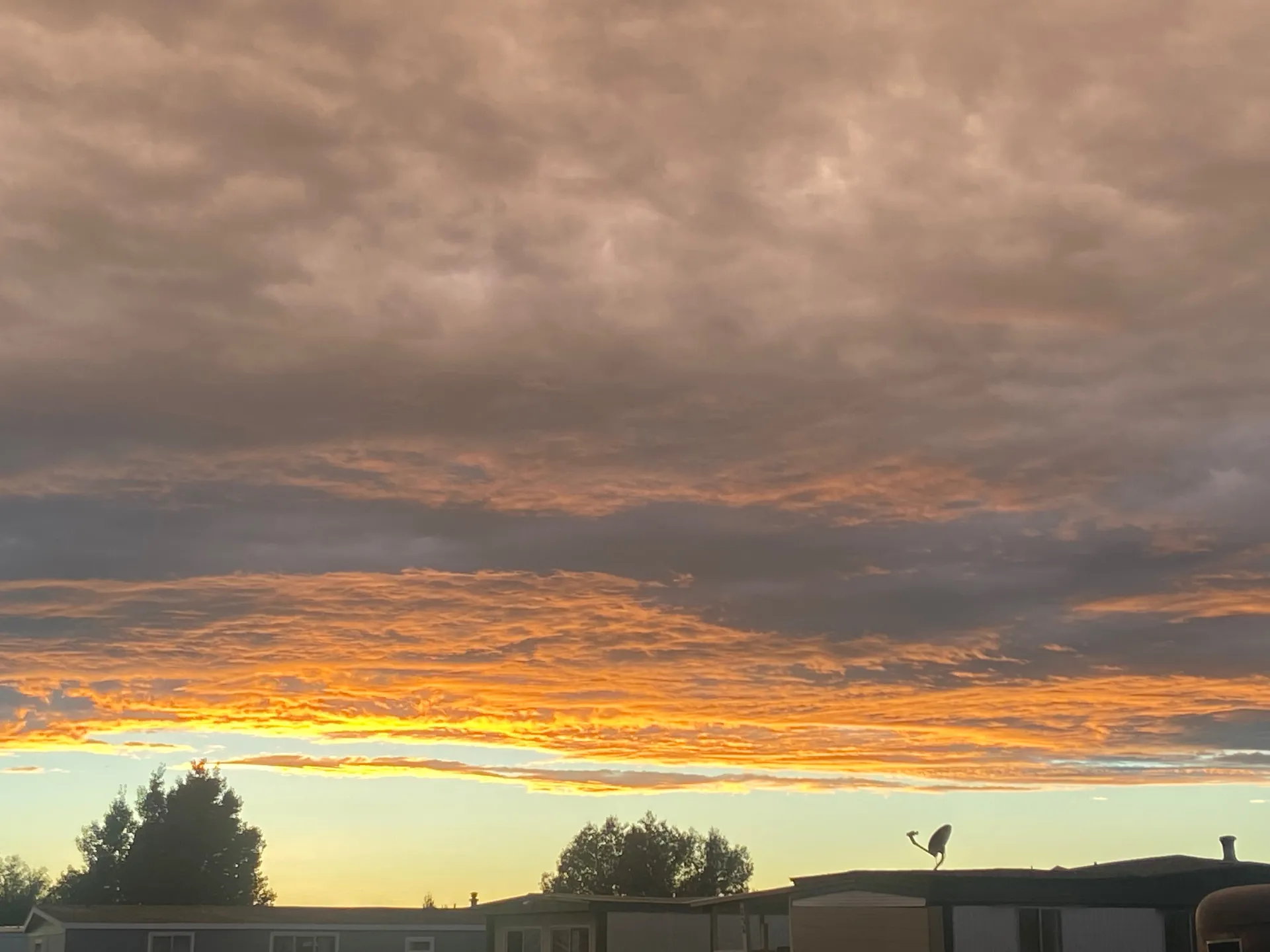 Twinkie Dyl OnlyFans header