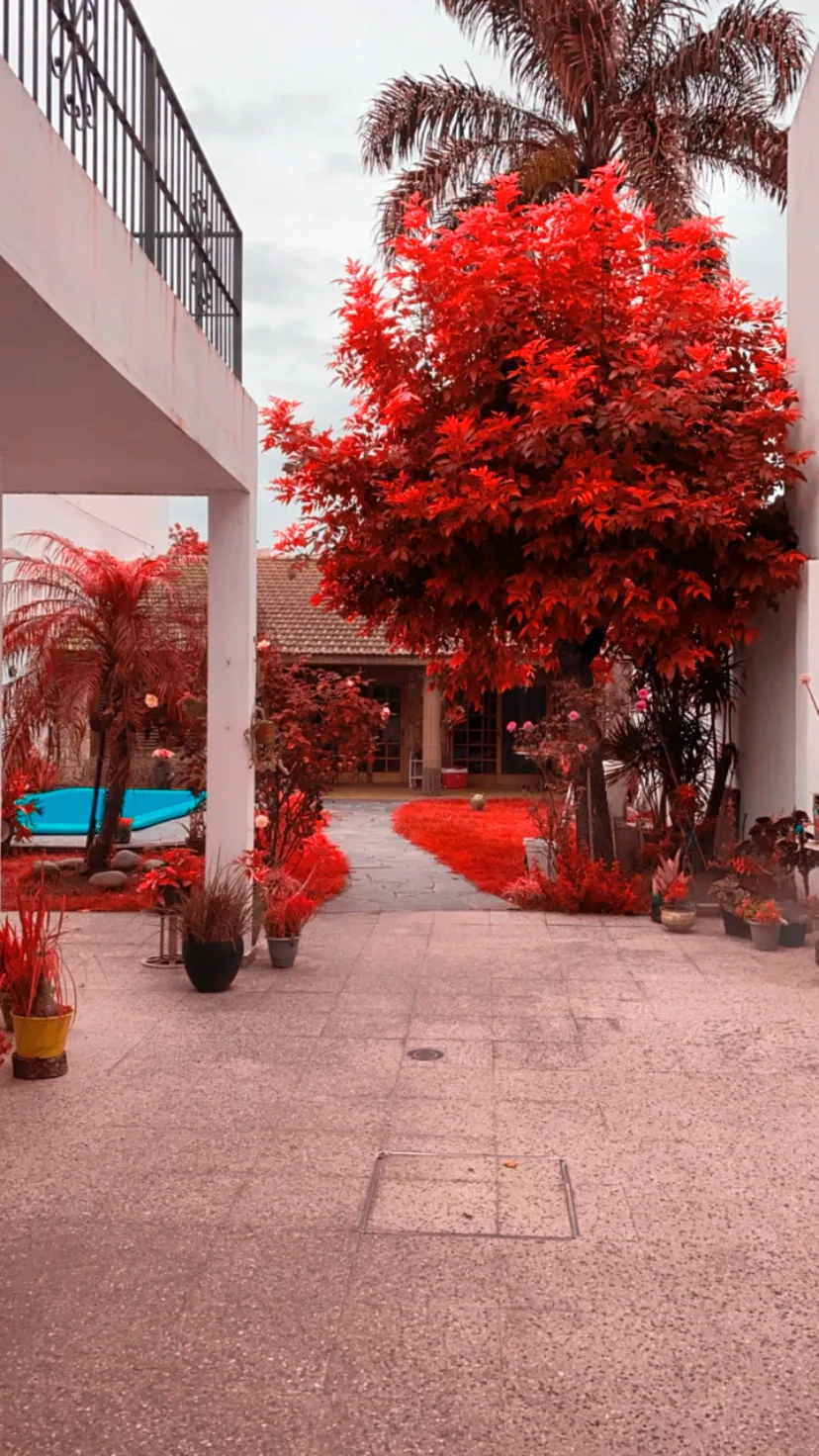 u100654481 OnlyFans header