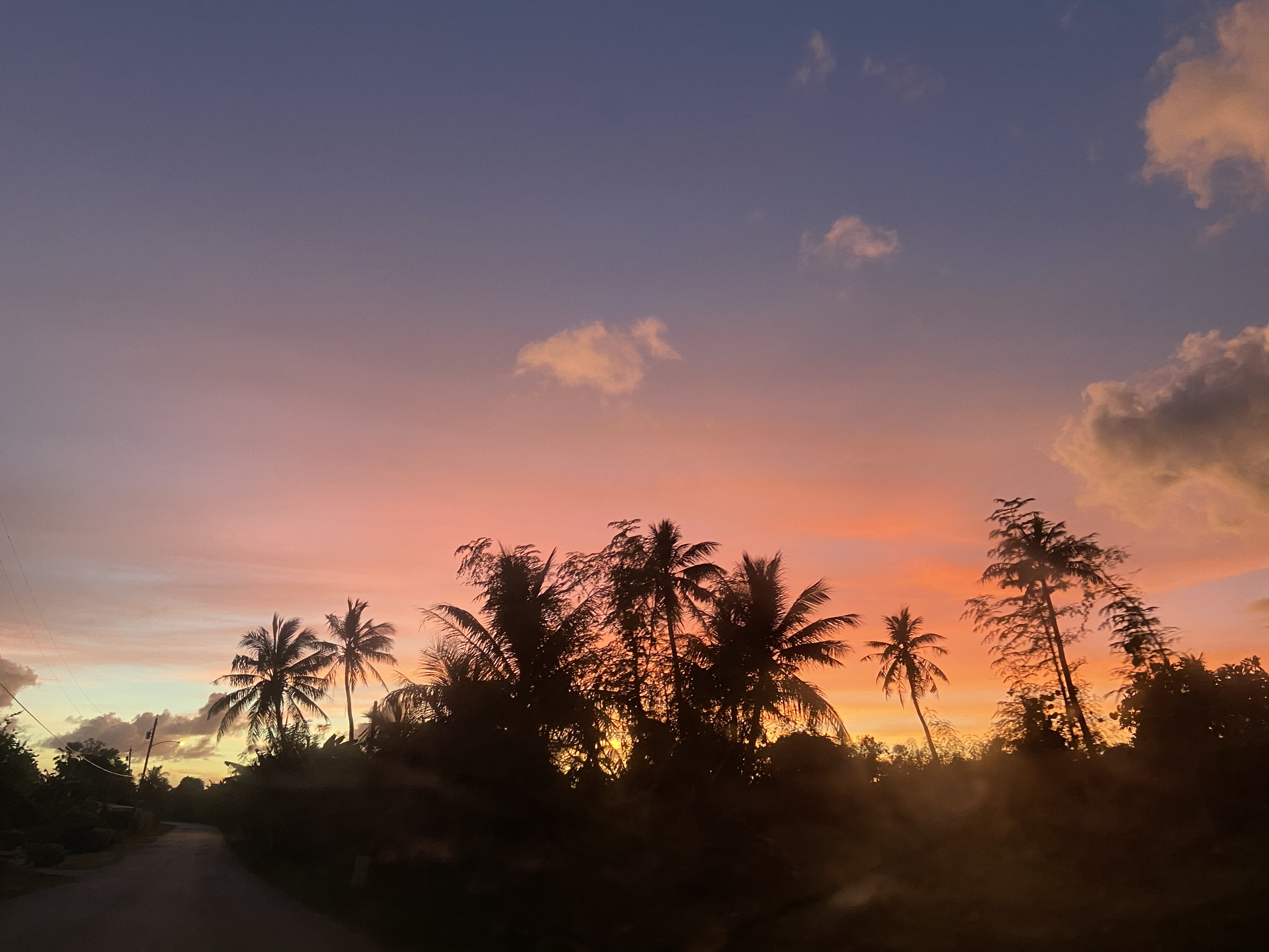 camari 🍂 OnlyFans header