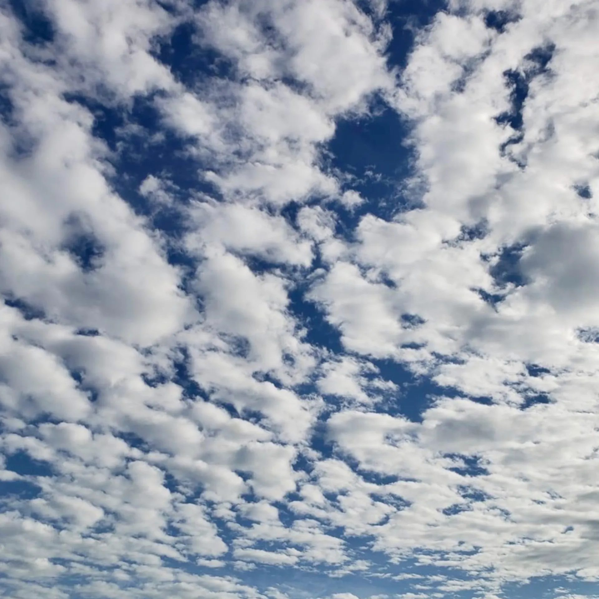 u11080961 OnlyFans header