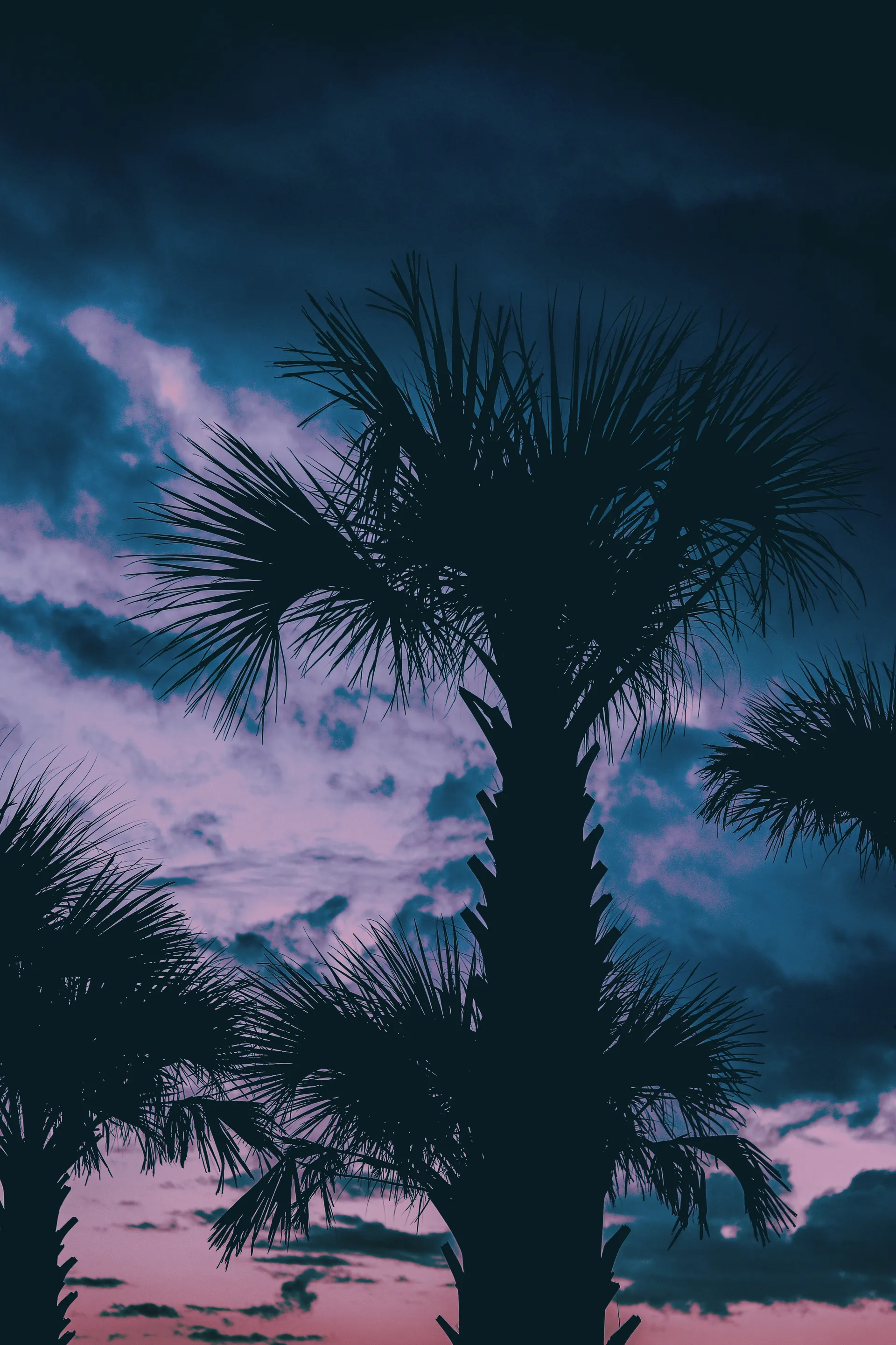 u111633339 OnlyFans header