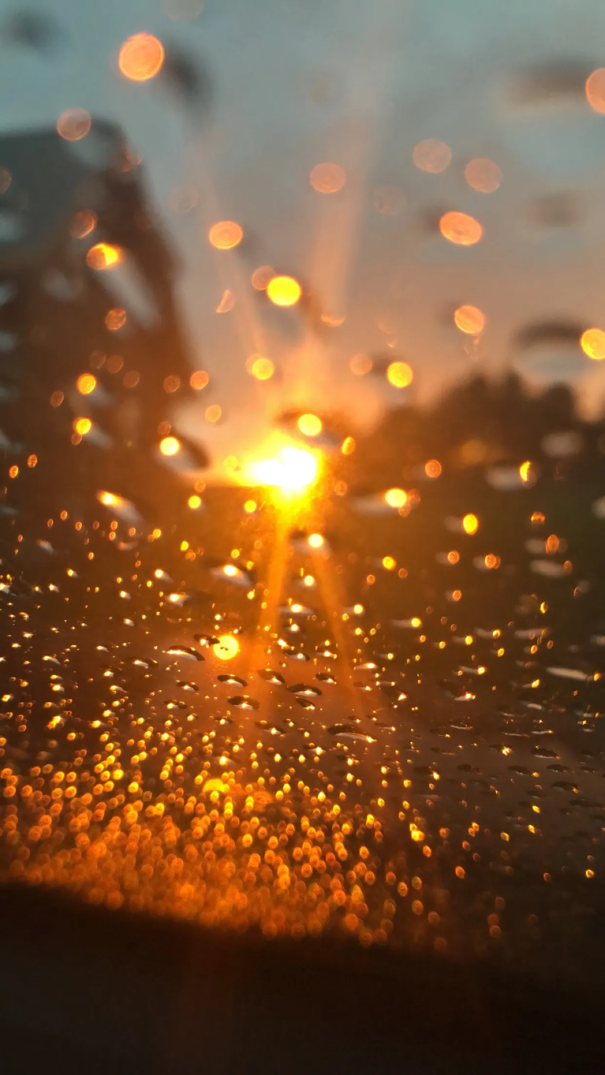 u113939741 OnlyFans header