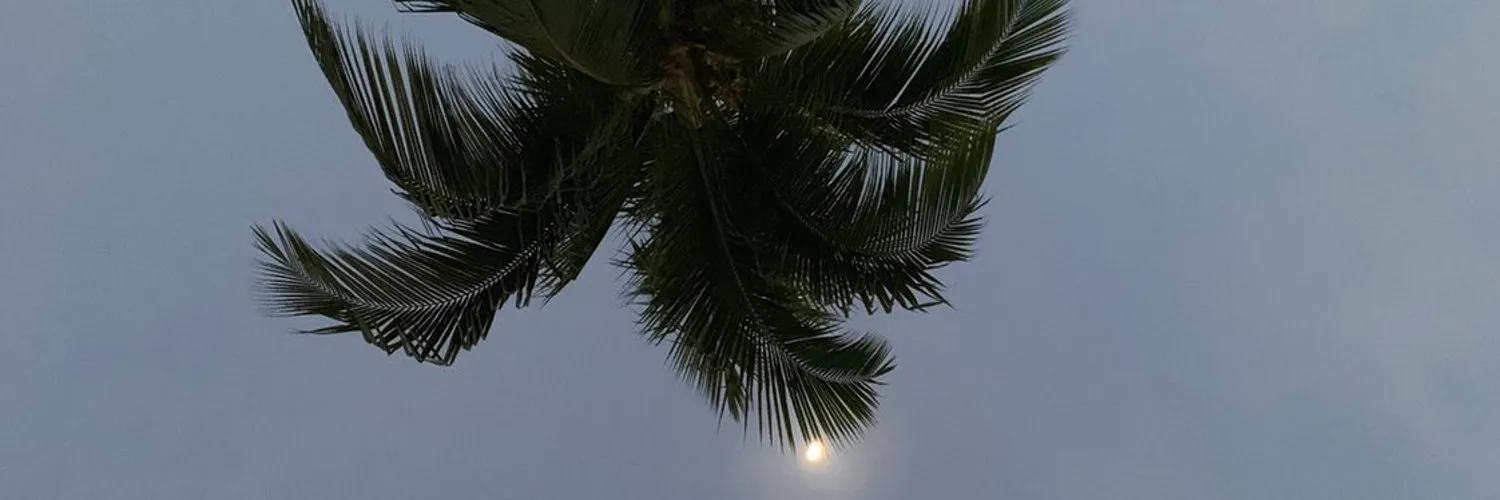 u12339806 OnlyFans header