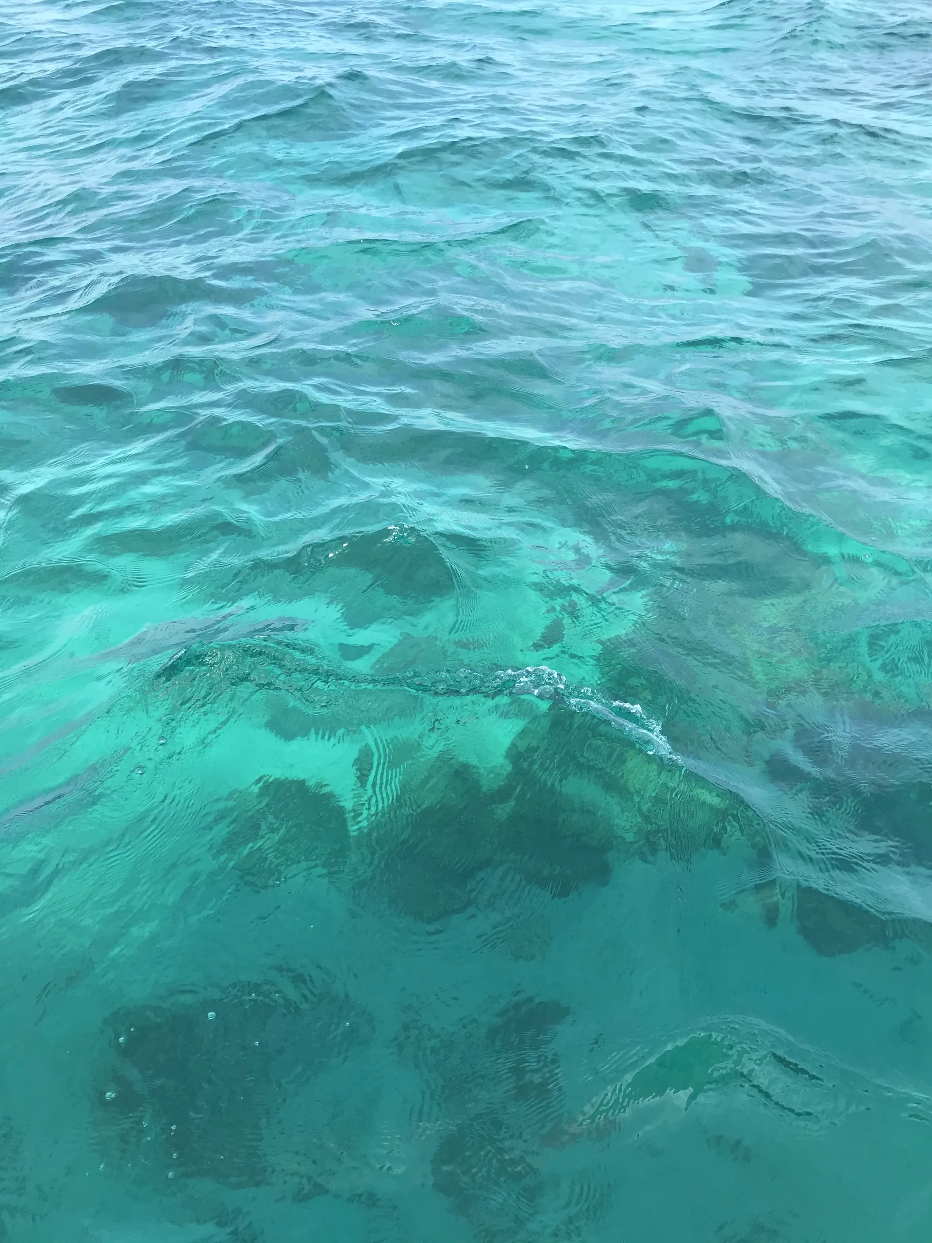 Natalia Guerra OnlyFans header