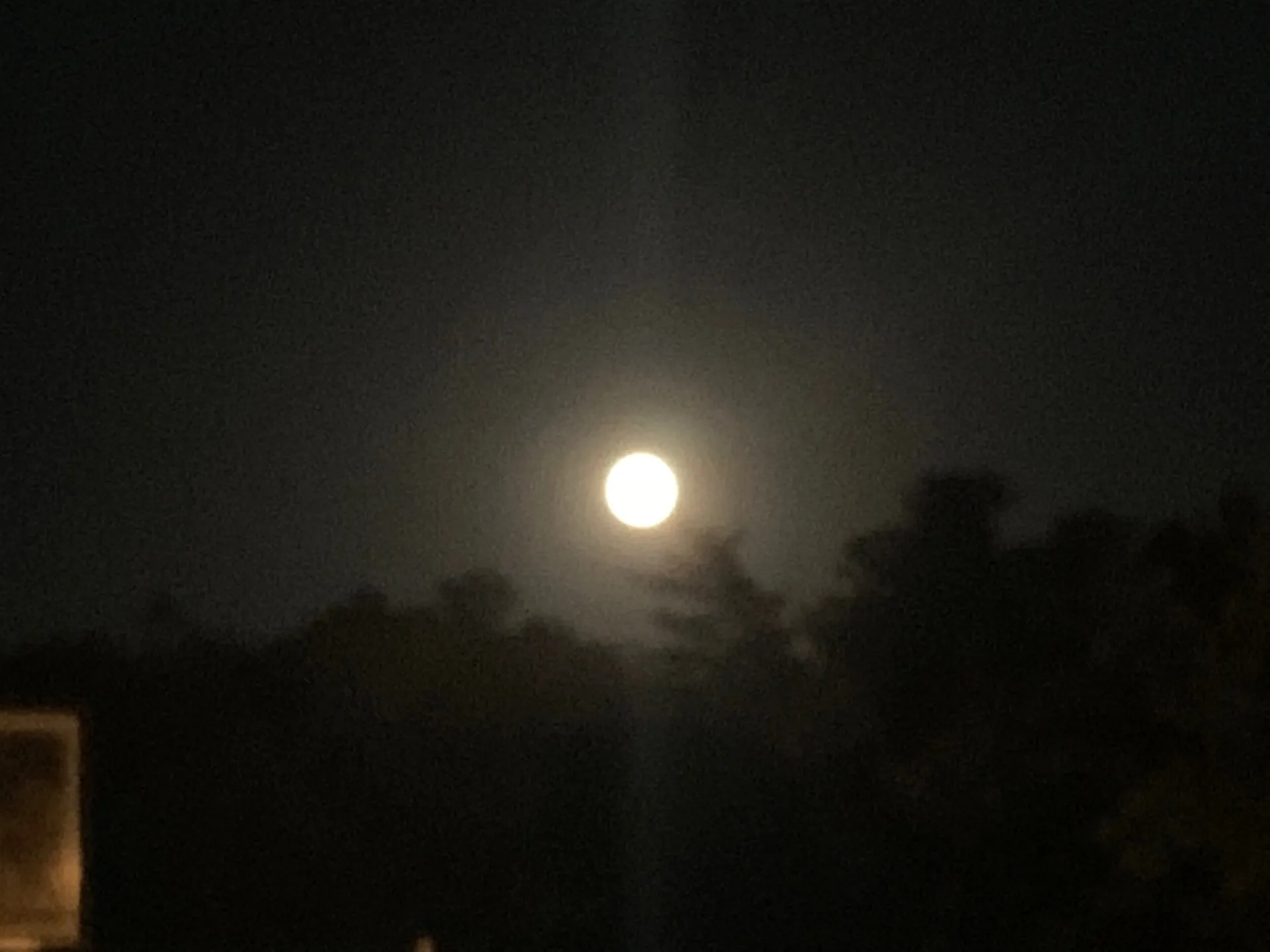 u123910837 OnlyFans header