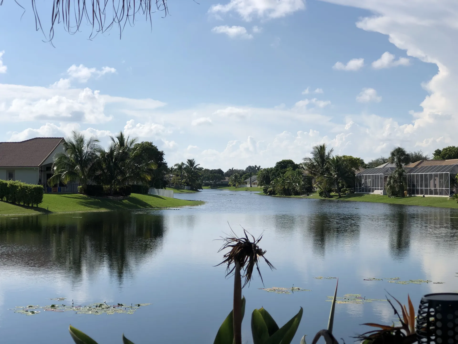 Sling&amp;ding OnlyFans header