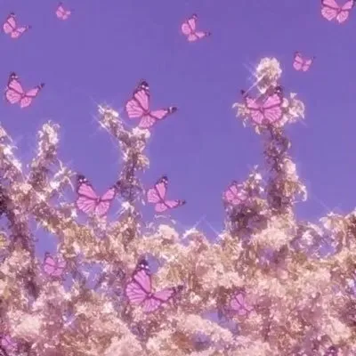 u135553413 OnlyFans header