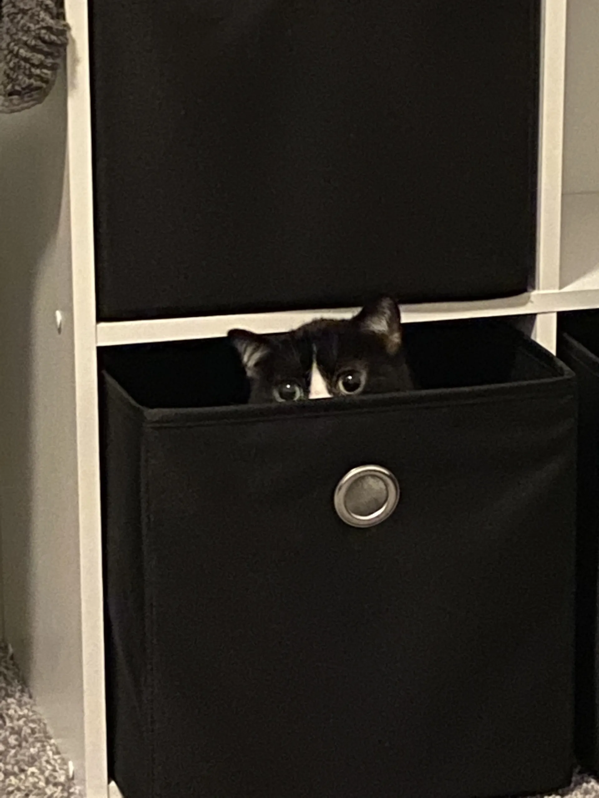 u138736011 OnlyFans header