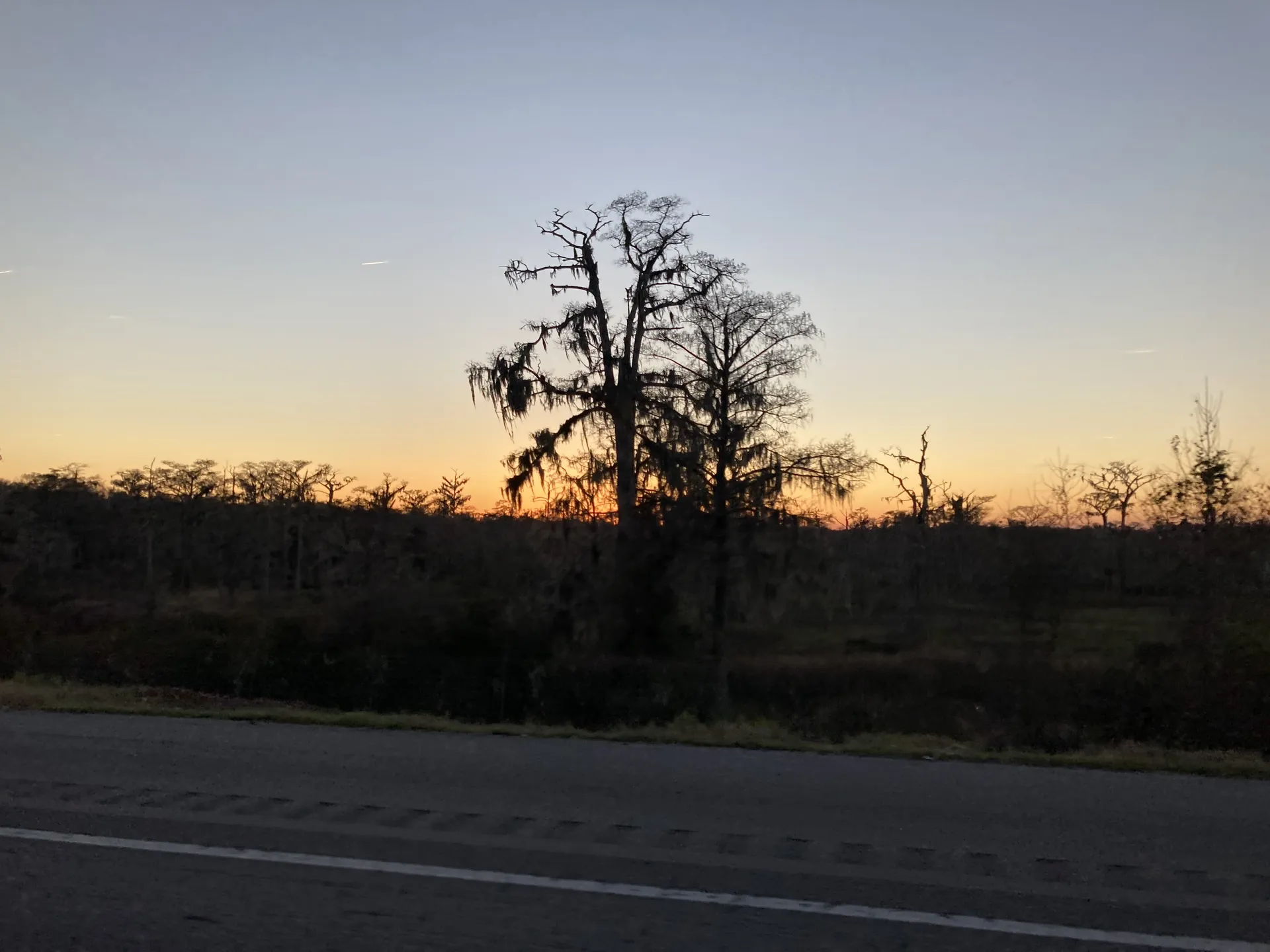 Evil Bunny OnlyFans header