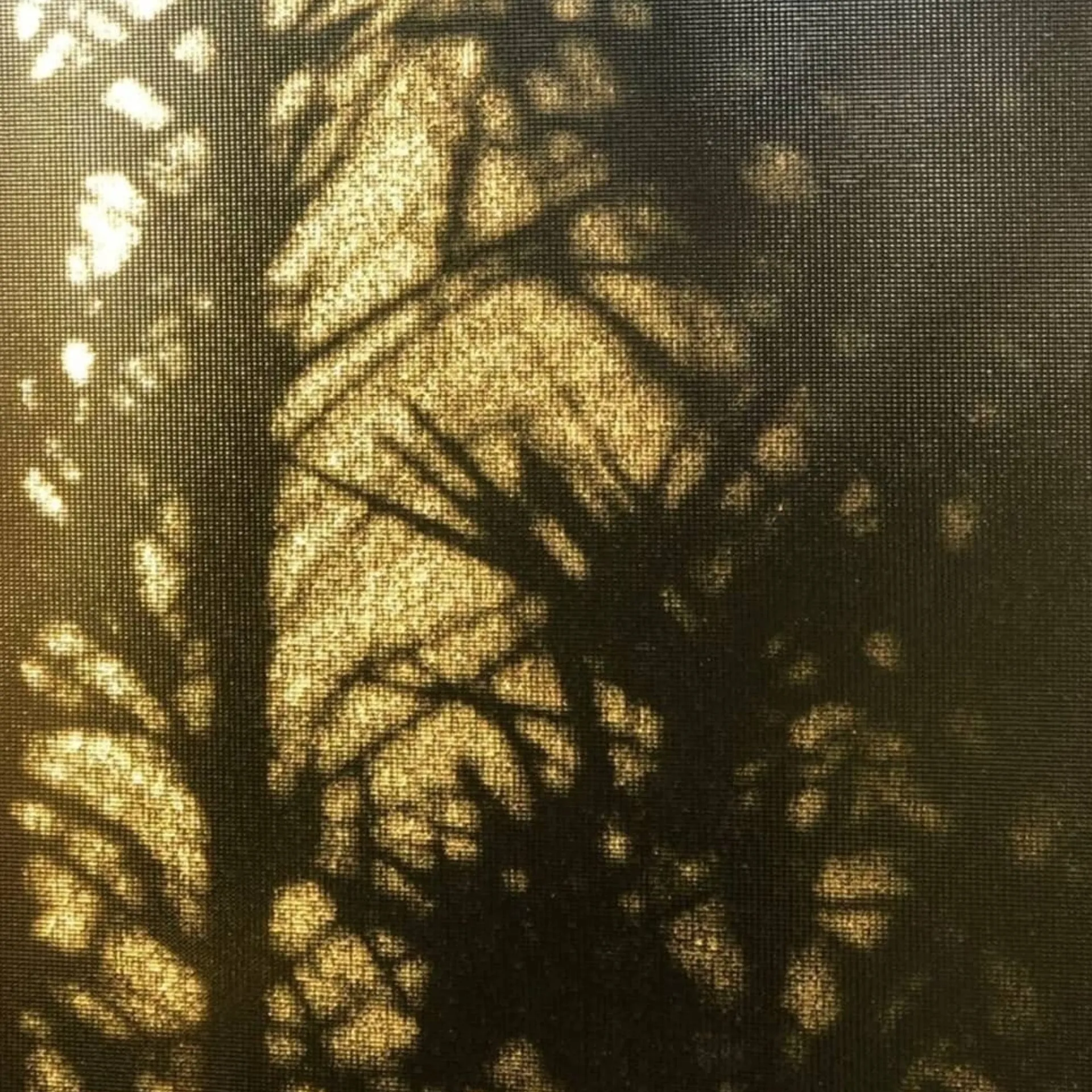 u143197645 OnlyFans header