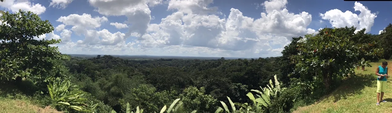 u14519611 OnlyFans header