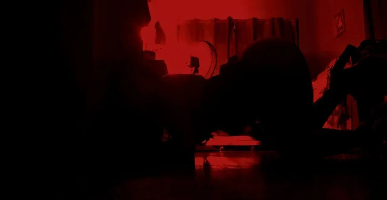 u146504406 OnlyFans header