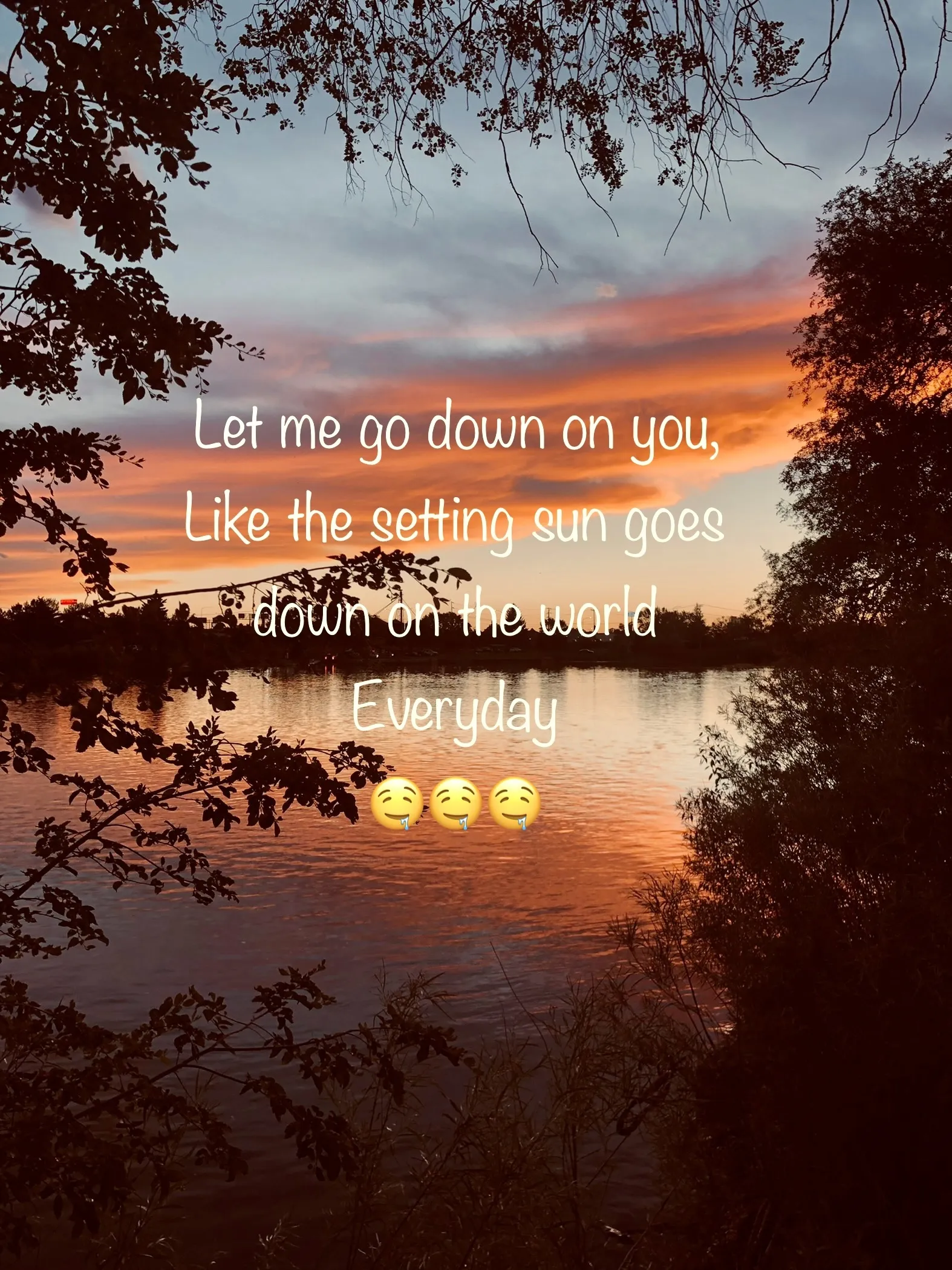 u157288624 OnlyFans header