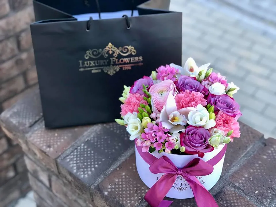 Vannesa OnlyFans header