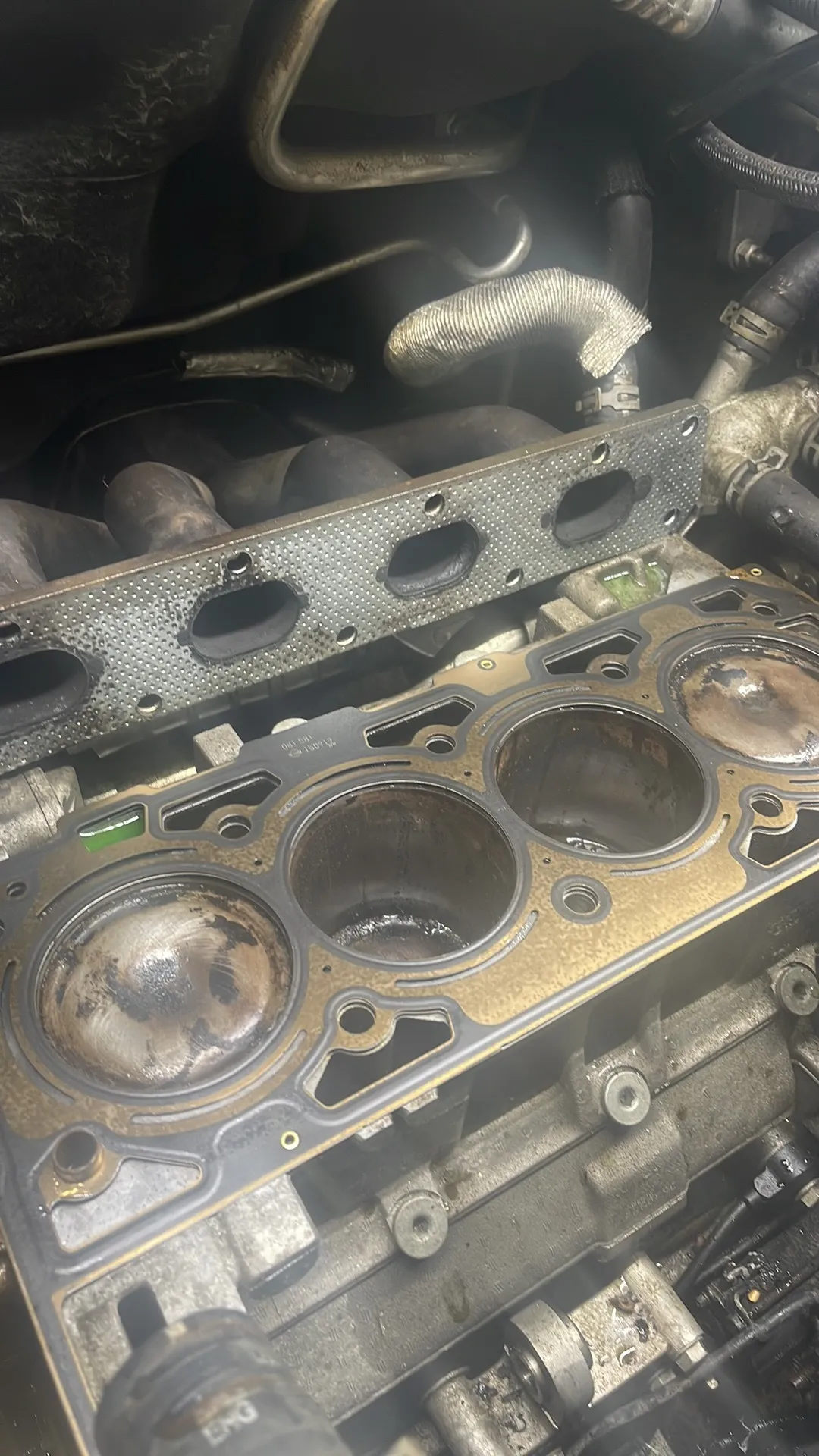 u16169085 OnlyFans header