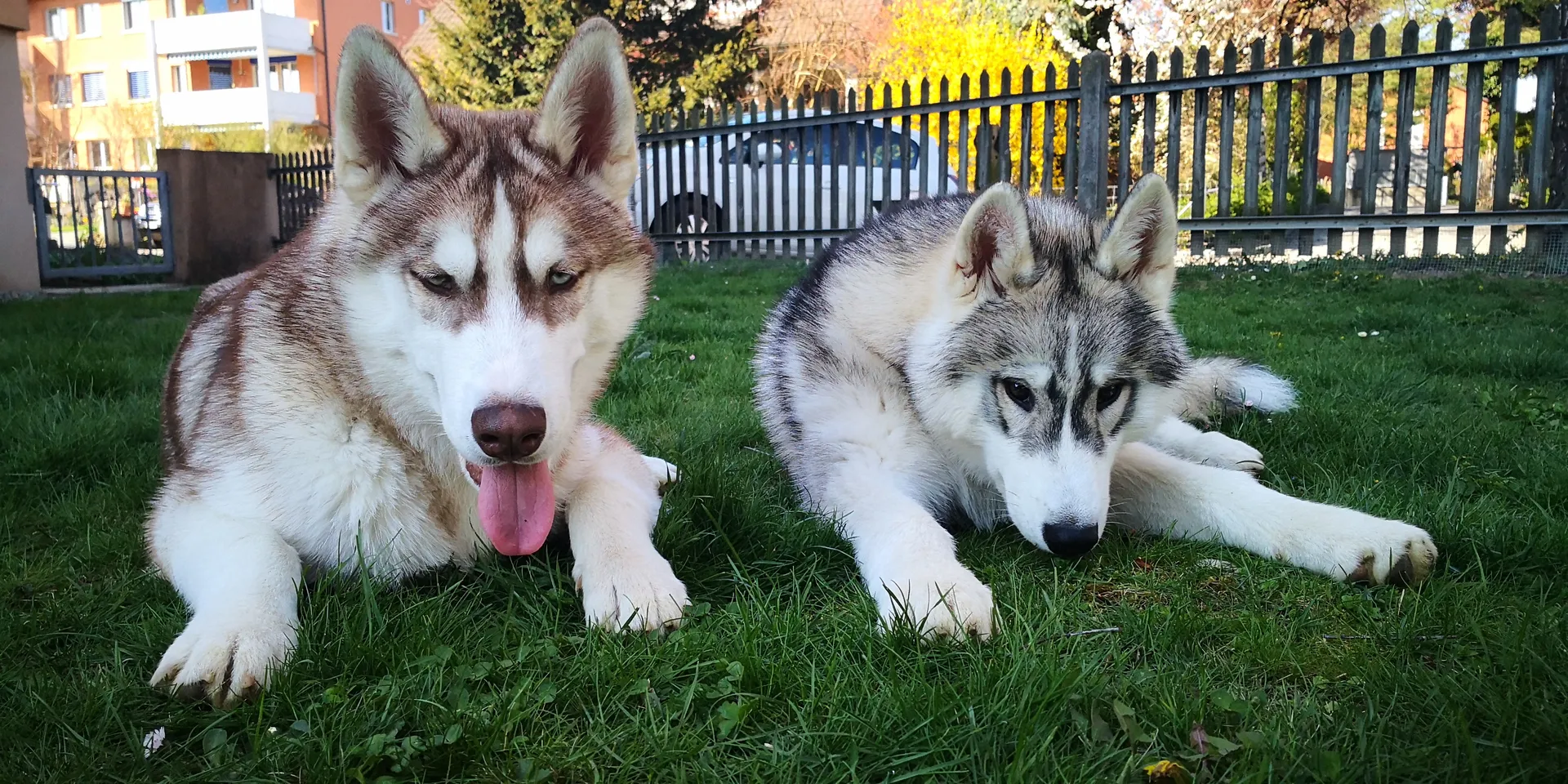 Mianoria OnlyFans header