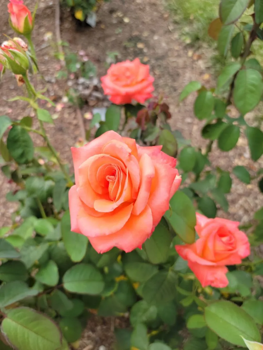 u165305652 OnlyFans header