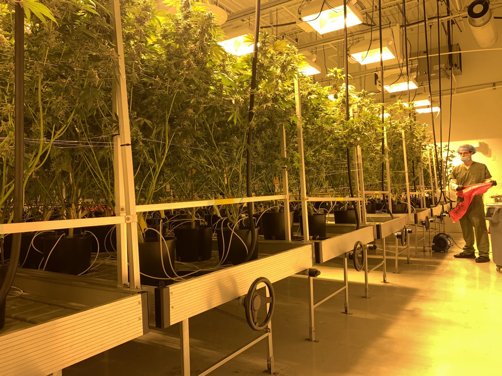 BadC0mpany OnlyFans header