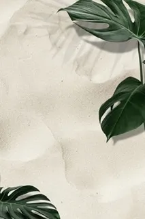 u175254964 OnlyFans header