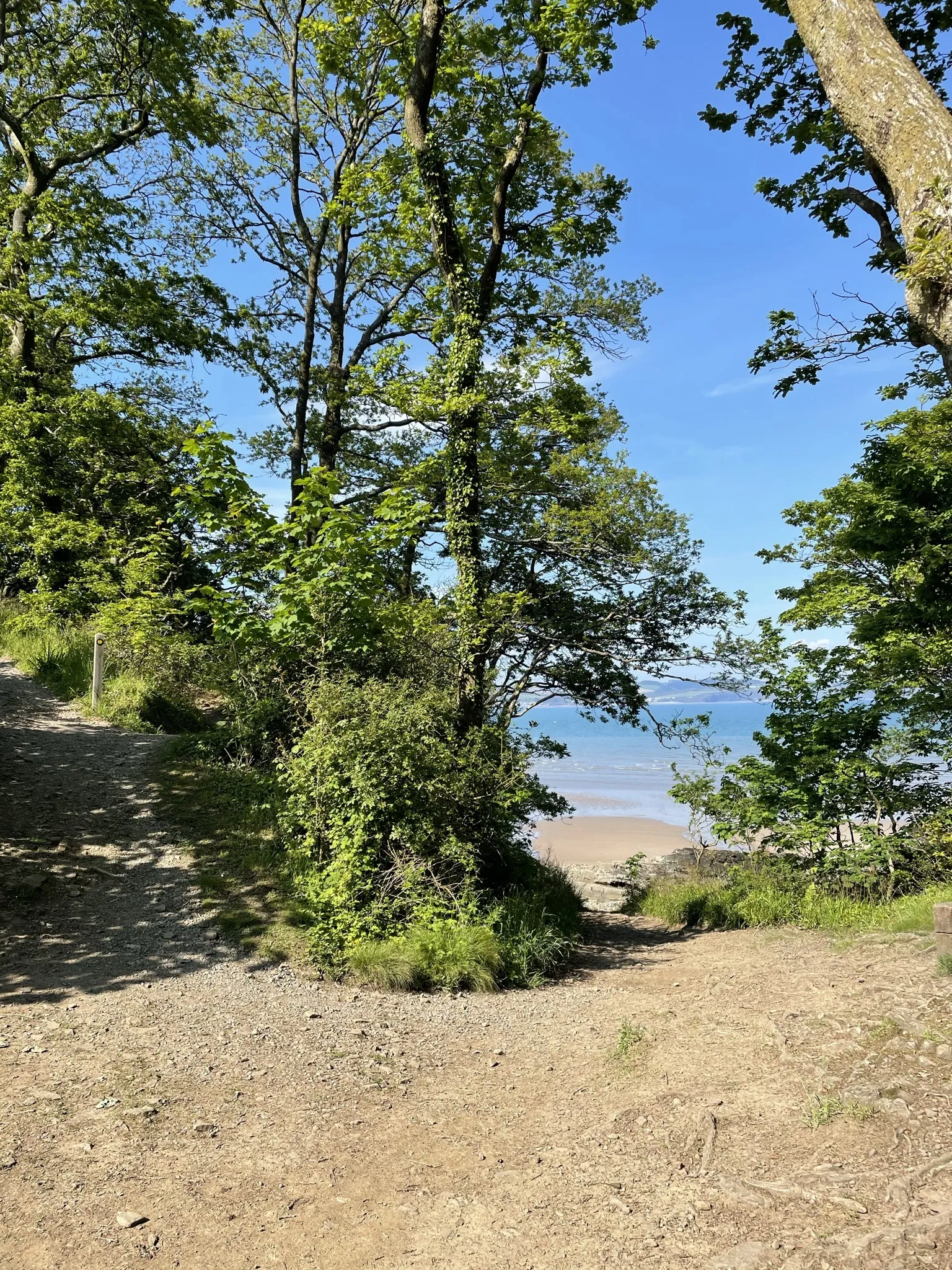 Red x OnlyFans header