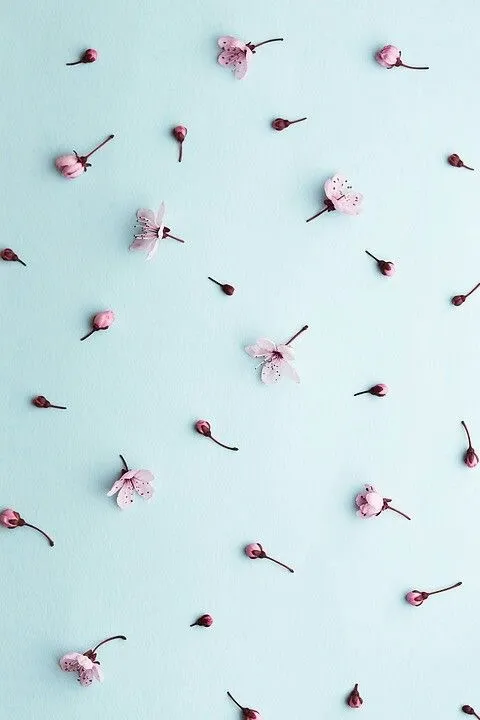 u183372596 OnlyFans header