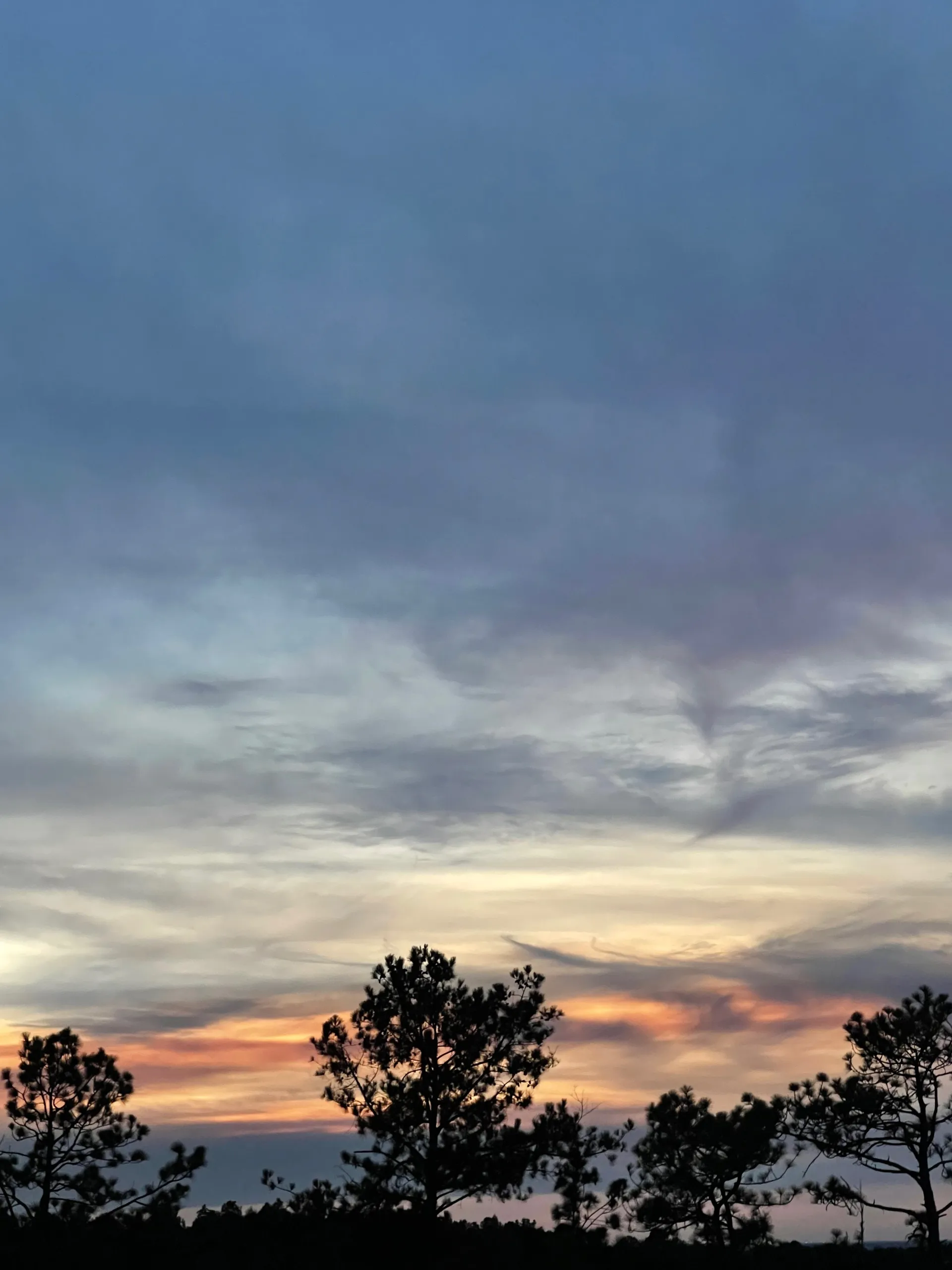 u188386144 OnlyFans header