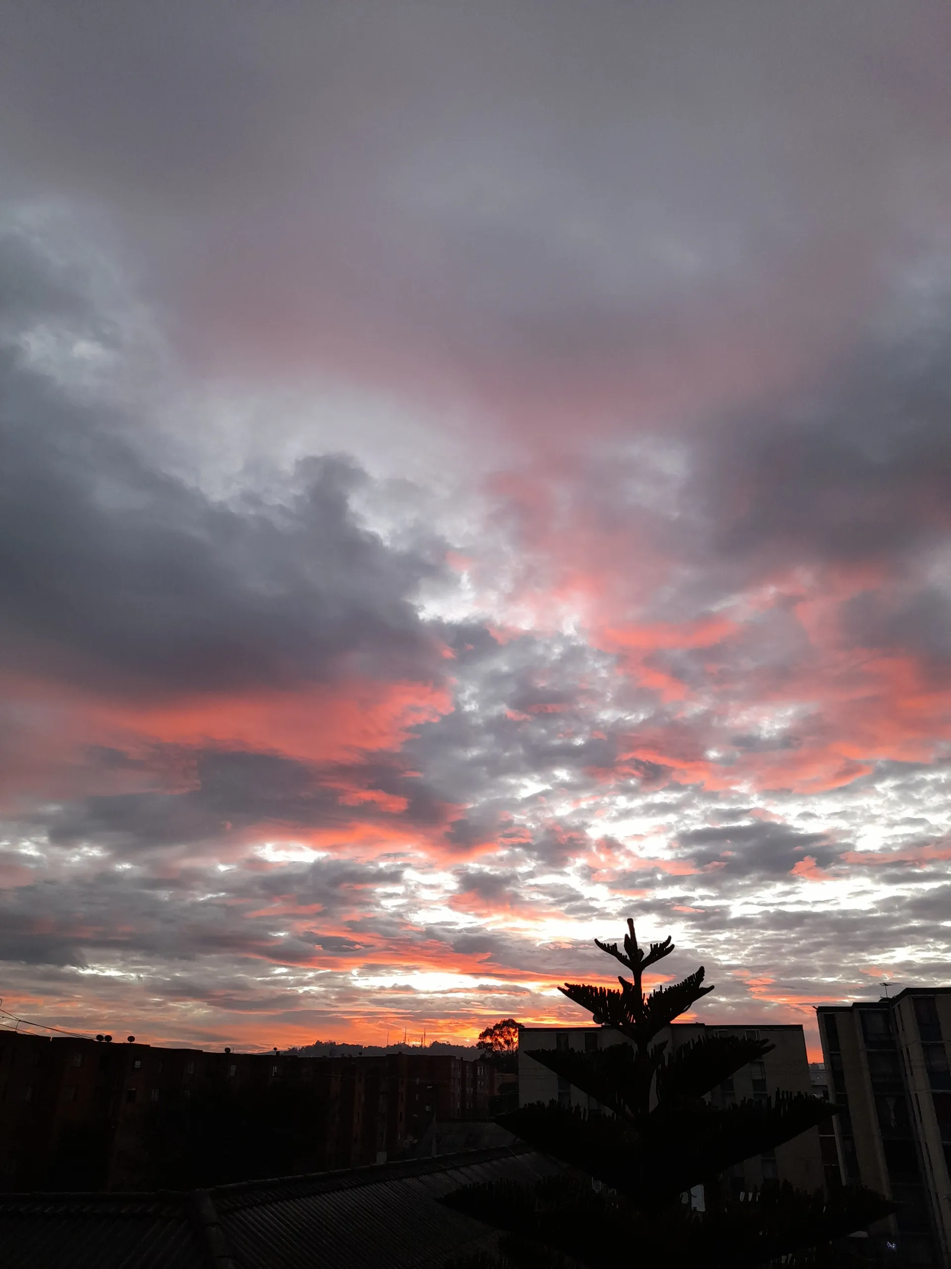 Danielaaa OnlyFans header