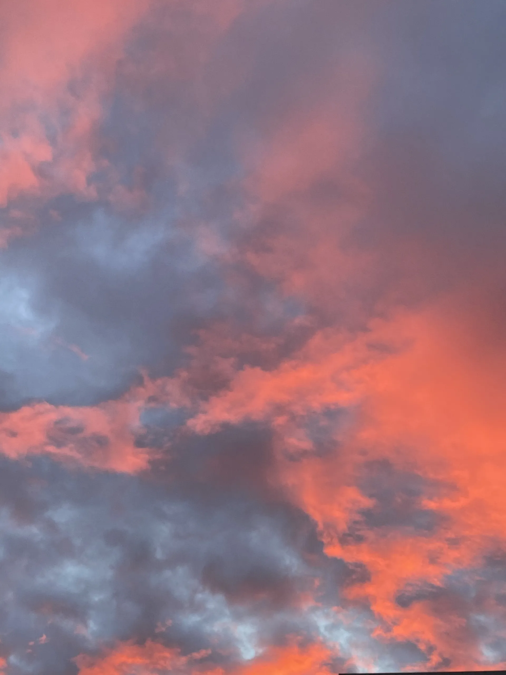 u191552295 OnlyFans header