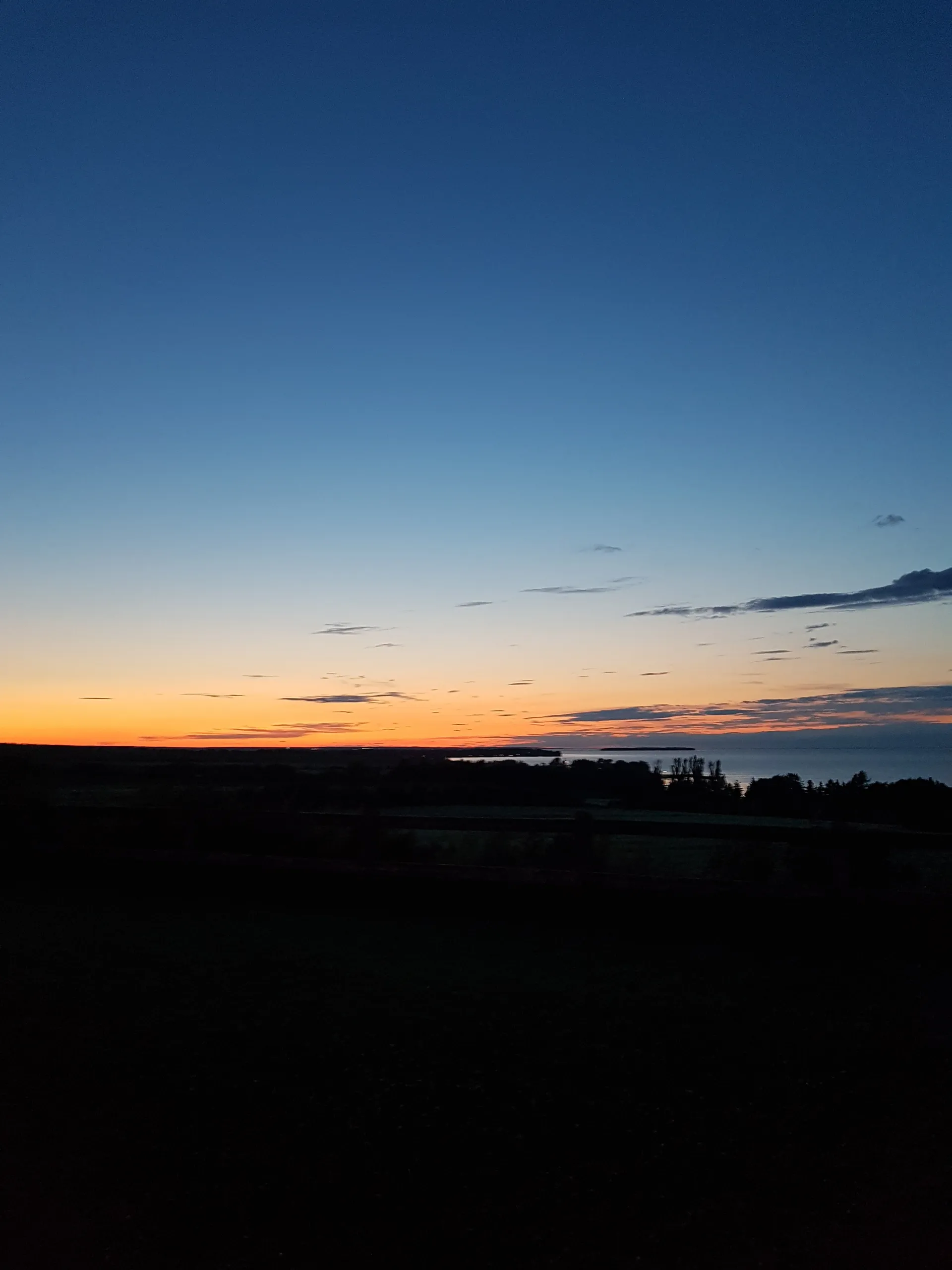 ButterCup OnlyFans header