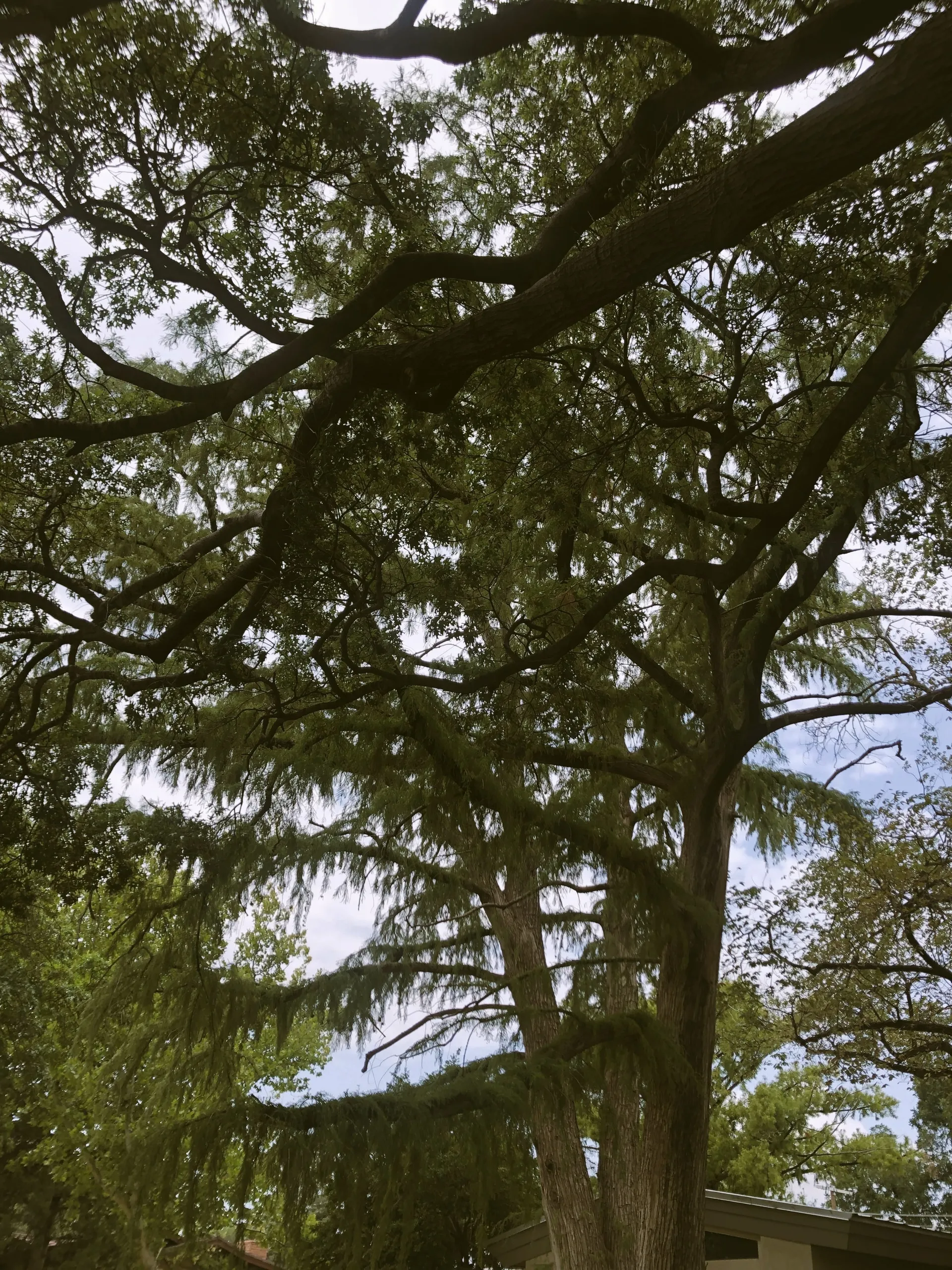 u20504450 OnlyFans header