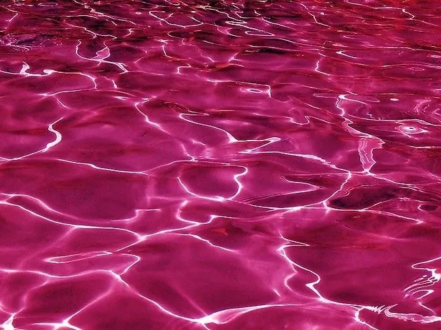 Vera OnlyFans header