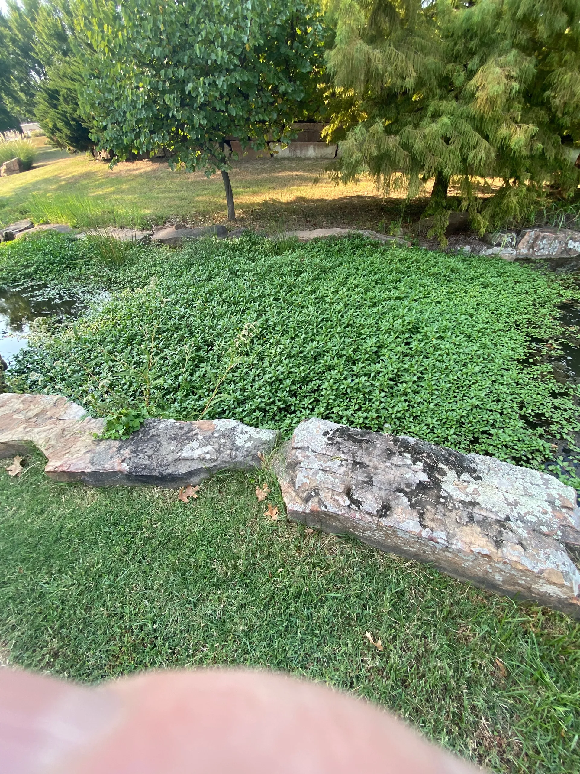 u209925902 OnlyFans header