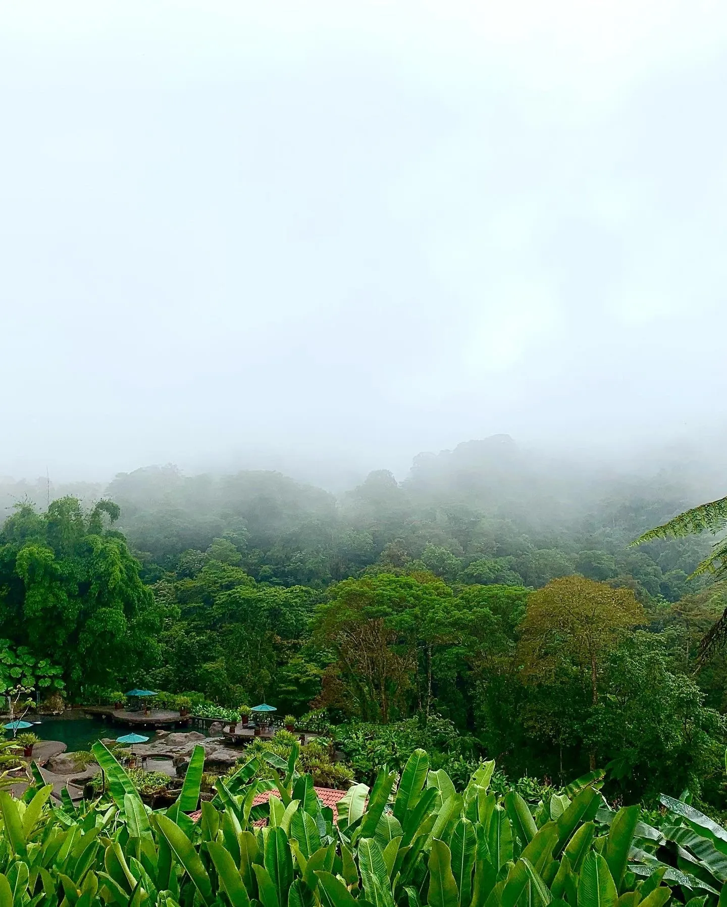 Allie OnlyFans header