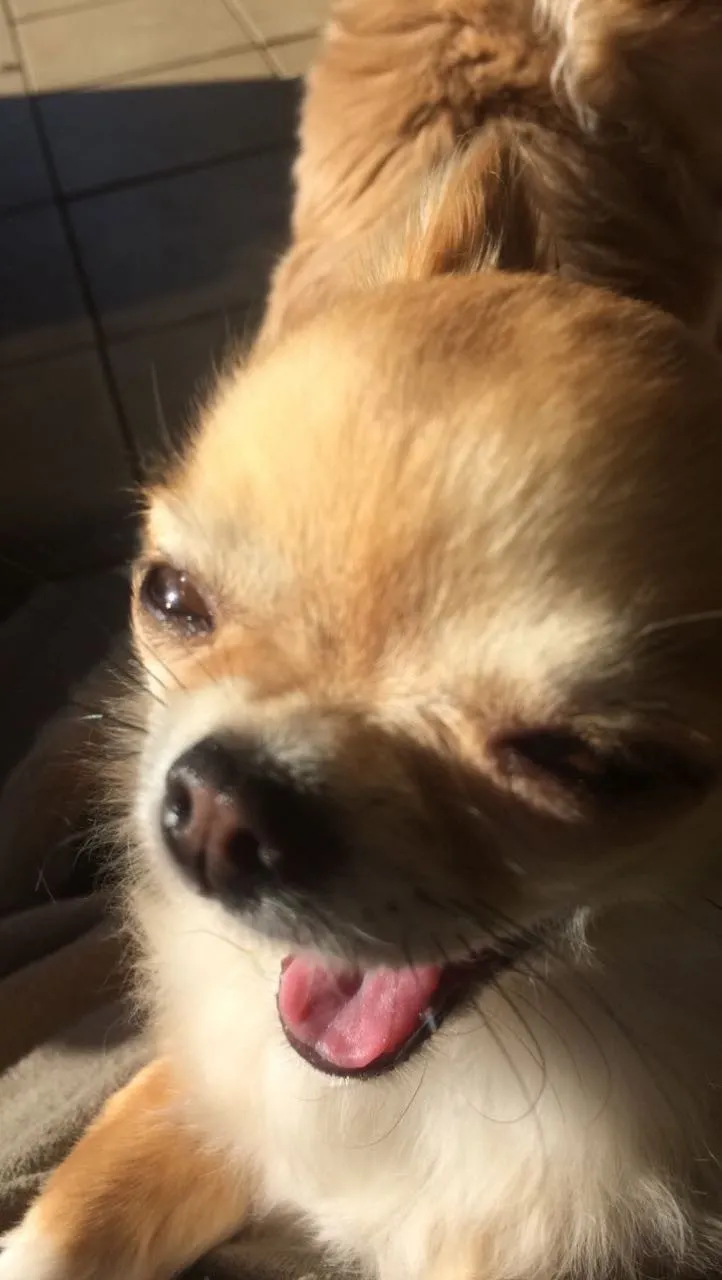 Lauren OnlyFans header