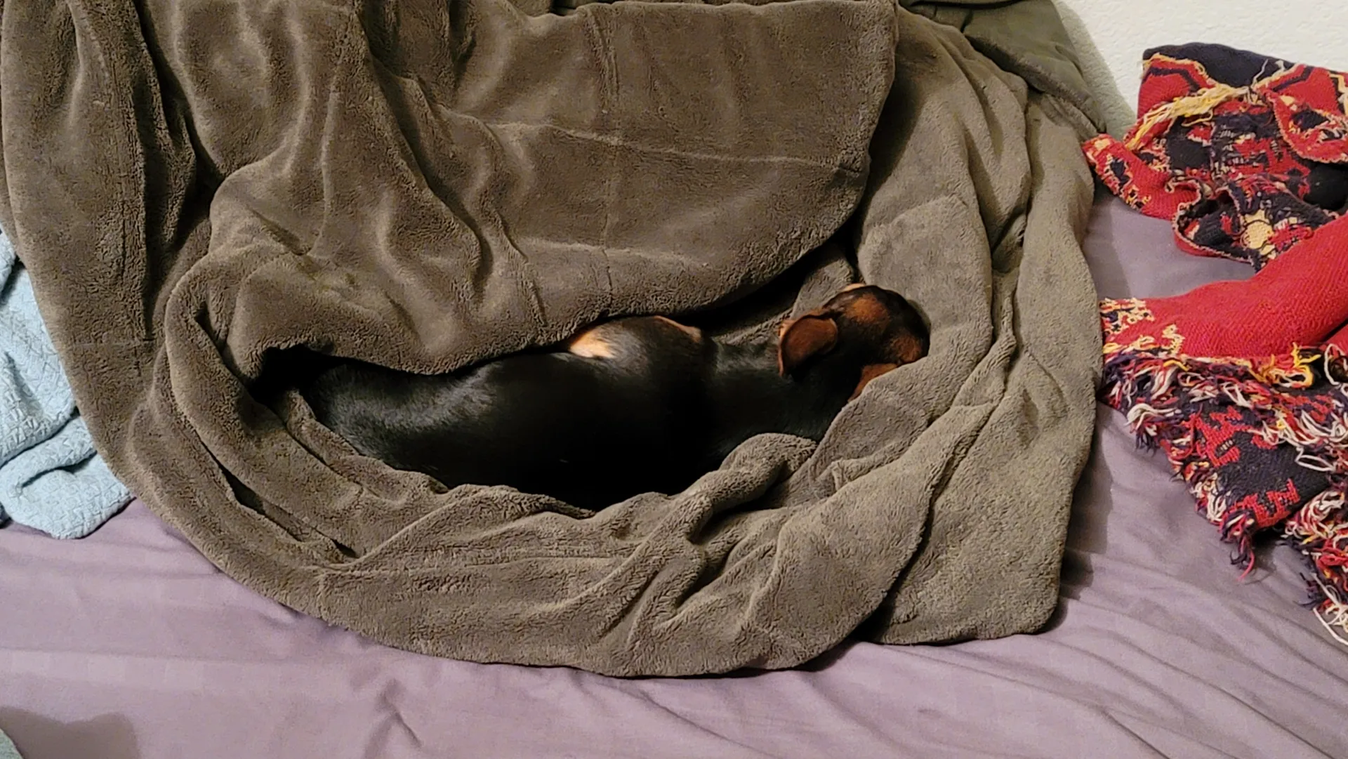 u21469659 OnlyFans header