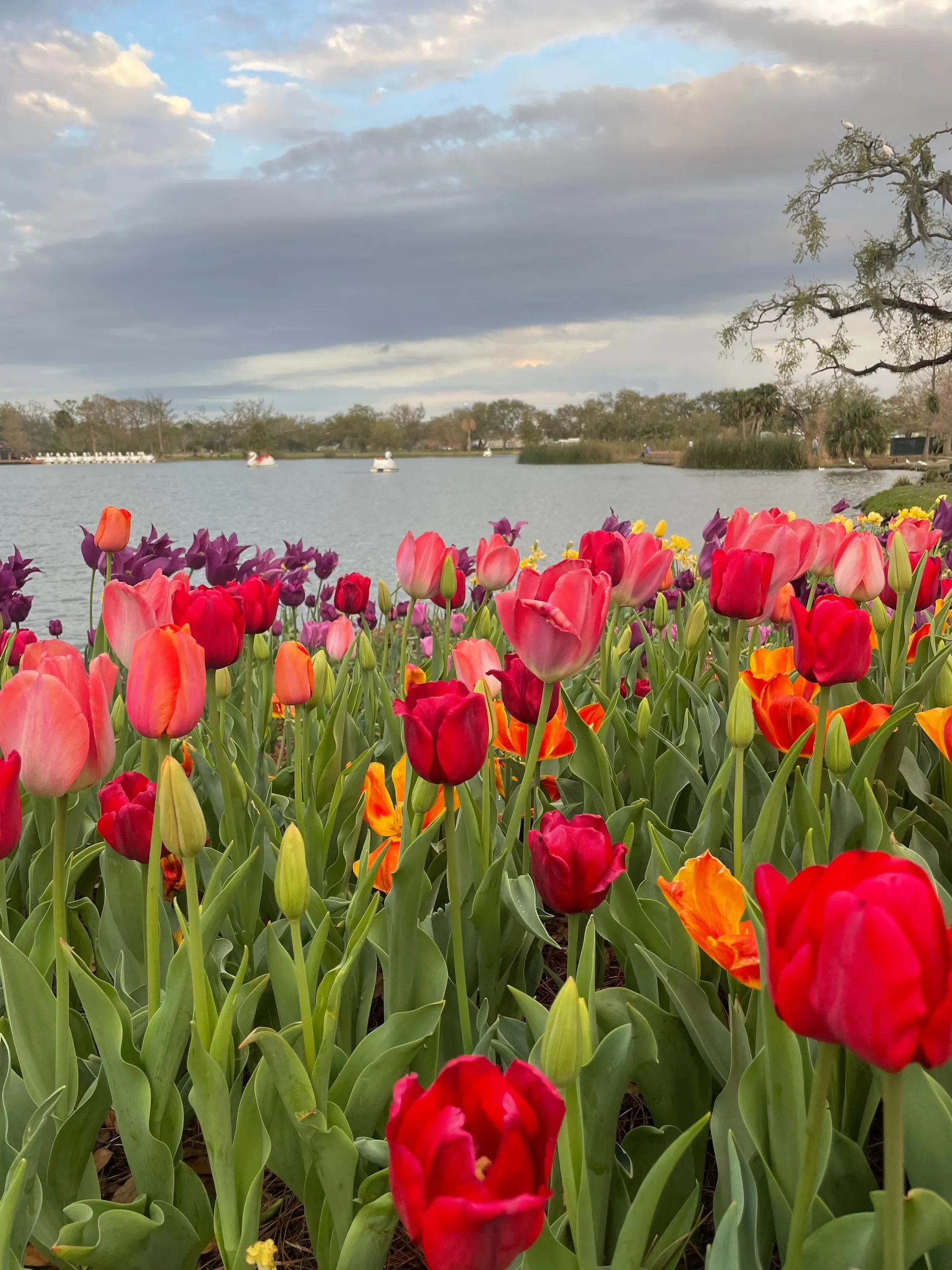 u215833188 OnlyFans header