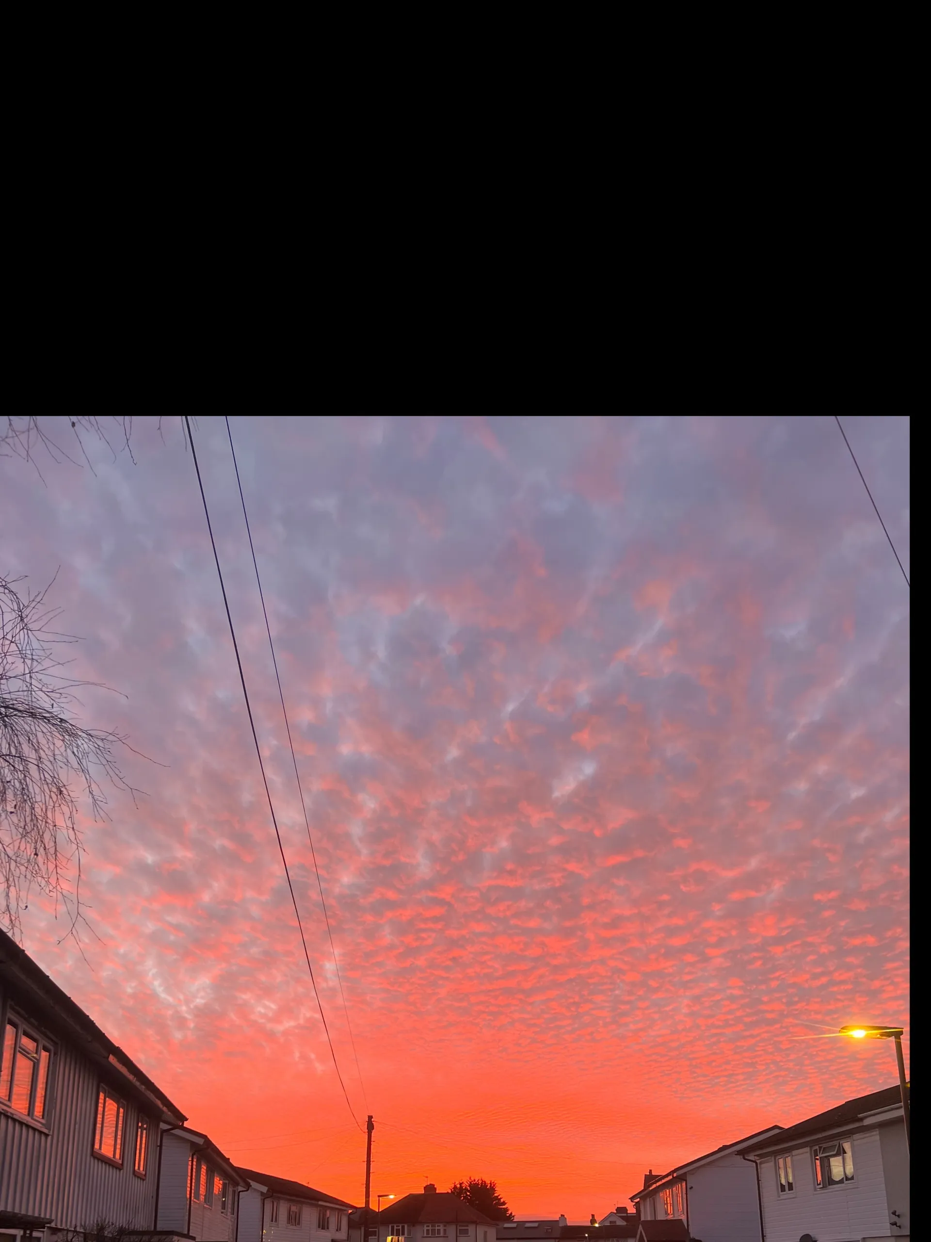 DonMie OnlyFans header