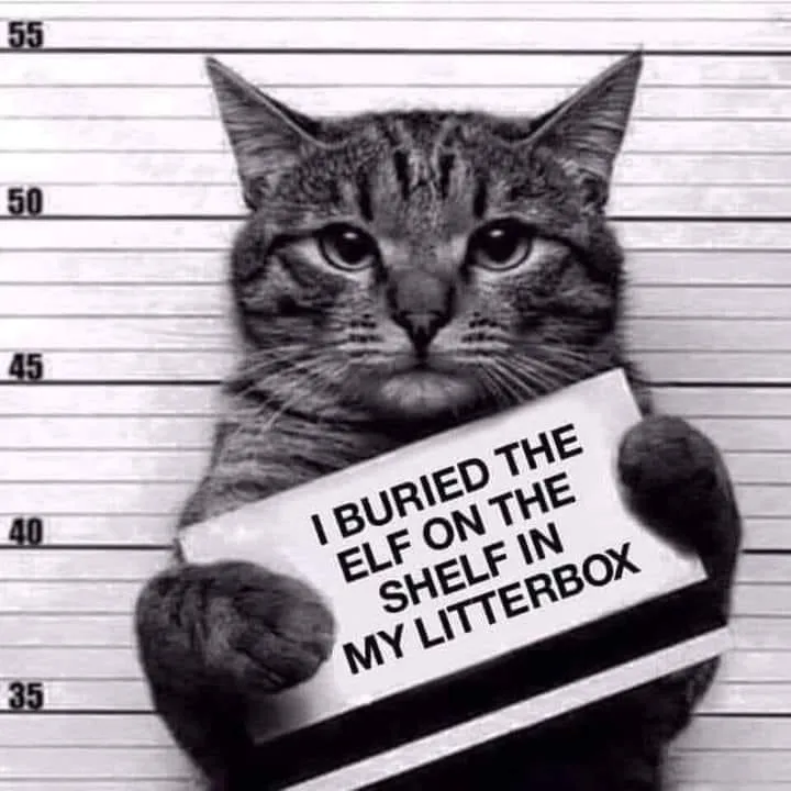 Eve Cereza OnlyFans header