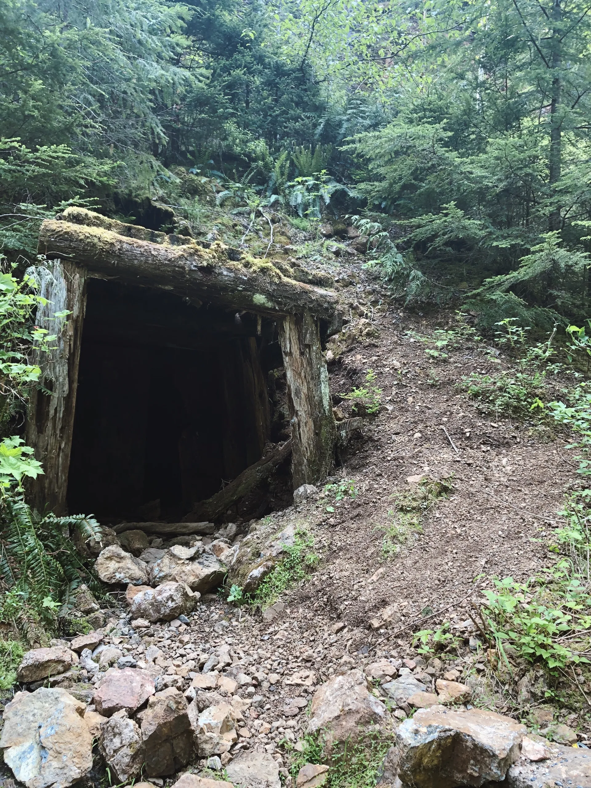 u219601932 OnlyFans header