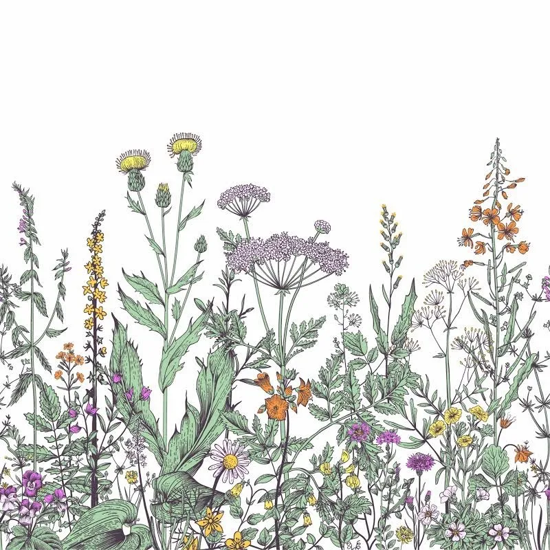 u220040397 OnlyFans header