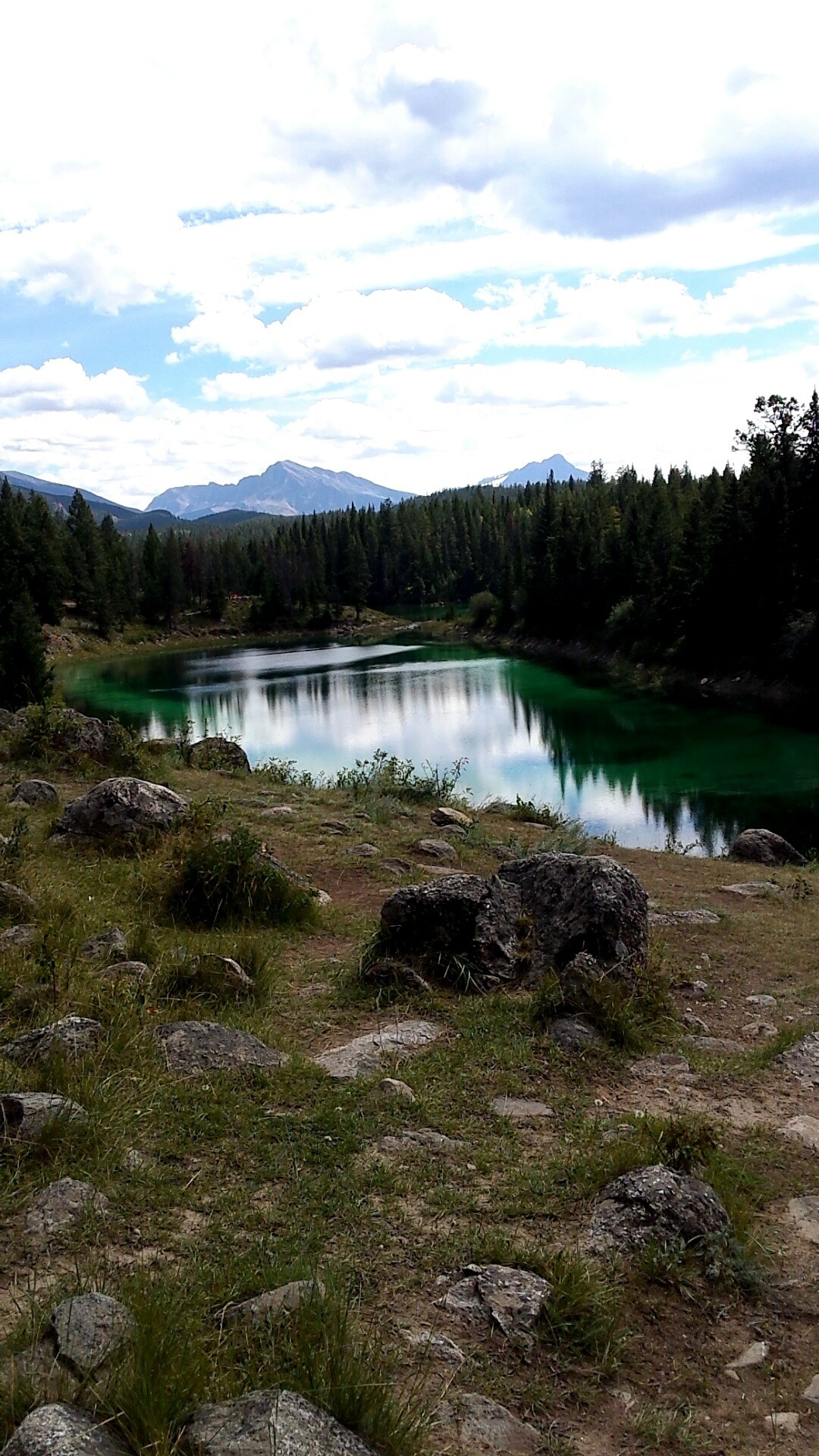 Kali OnlyFans header