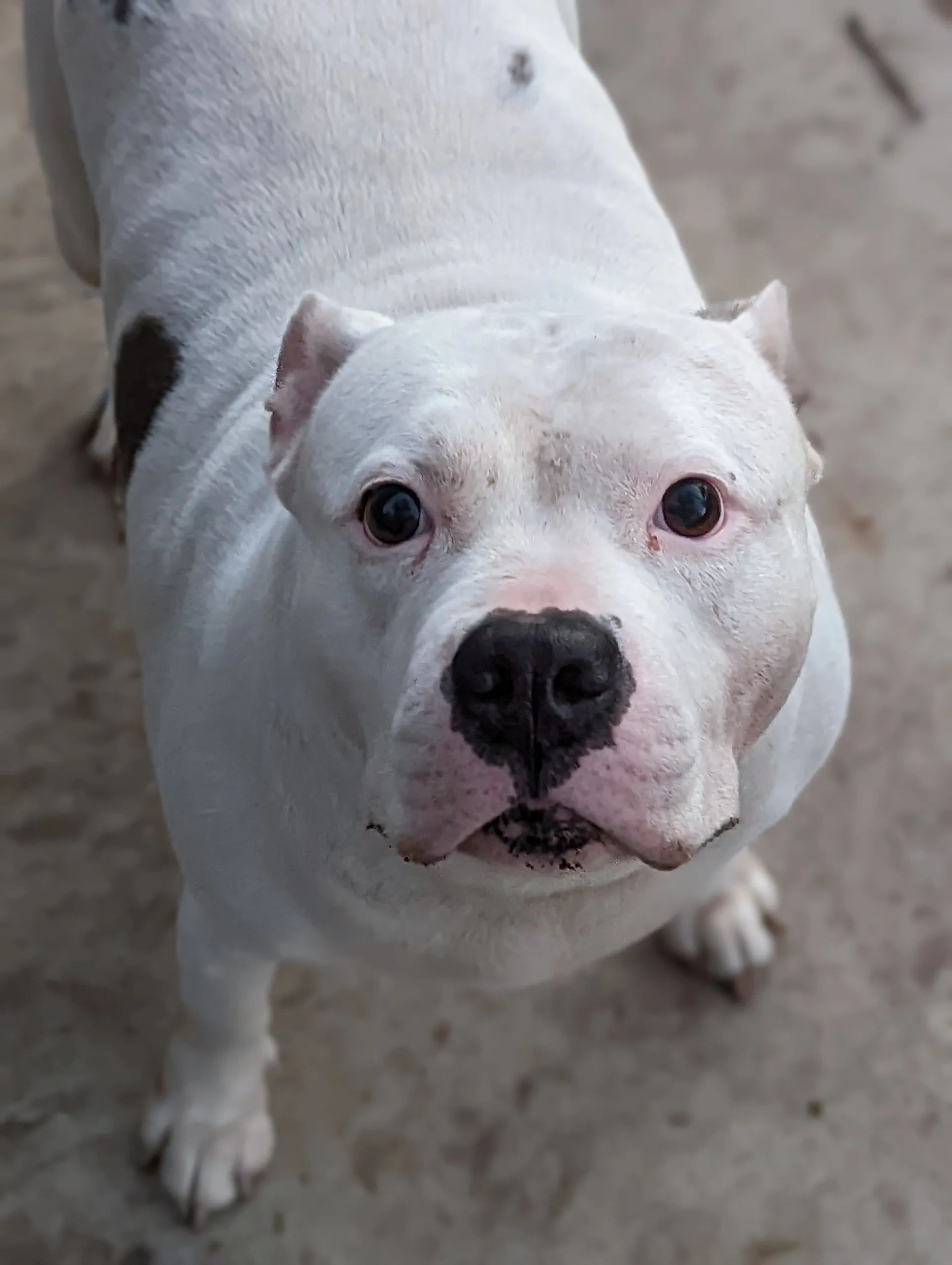 u226467967 OnlyFans header