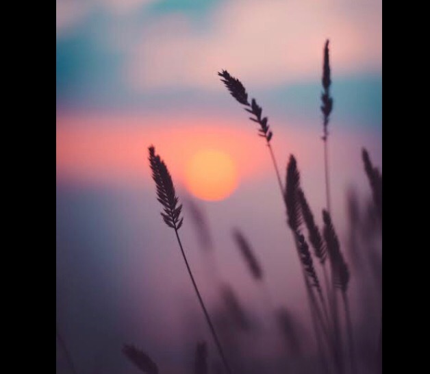 Aurora OnlyFans header